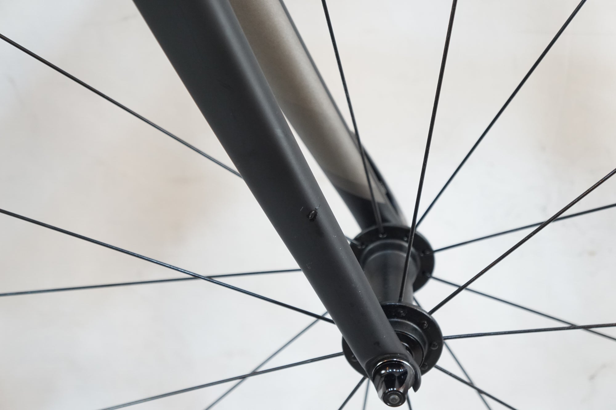 TREK 「トレック」 EMONDA SL 6 2019年モデル ロードバイク / バイチャリ浦和ベース