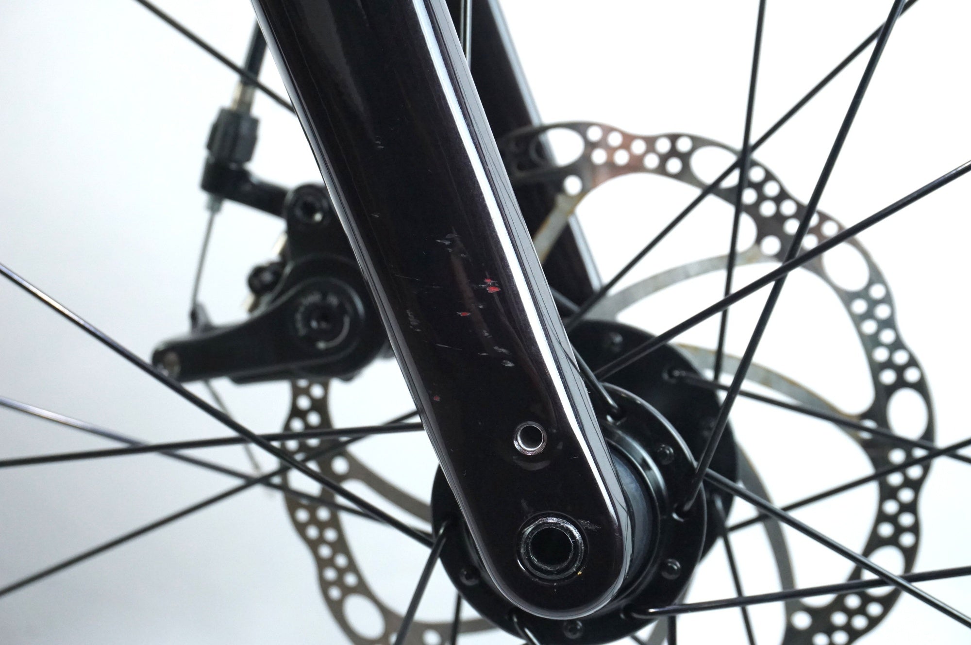 TREK 「トレック」 DOMANE AL 2 GEN 4 2025年モデル ロードバイク / 東京商品化センター