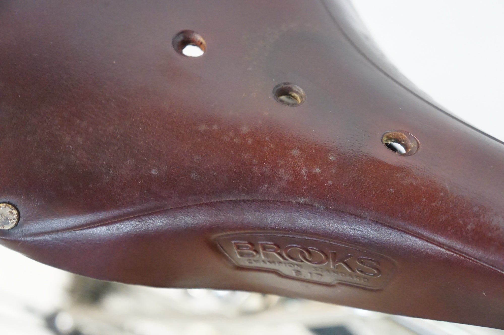 CALAMITA 「カラミータ」 DUE 2016年頃 ロードバイク / 熊谷本店