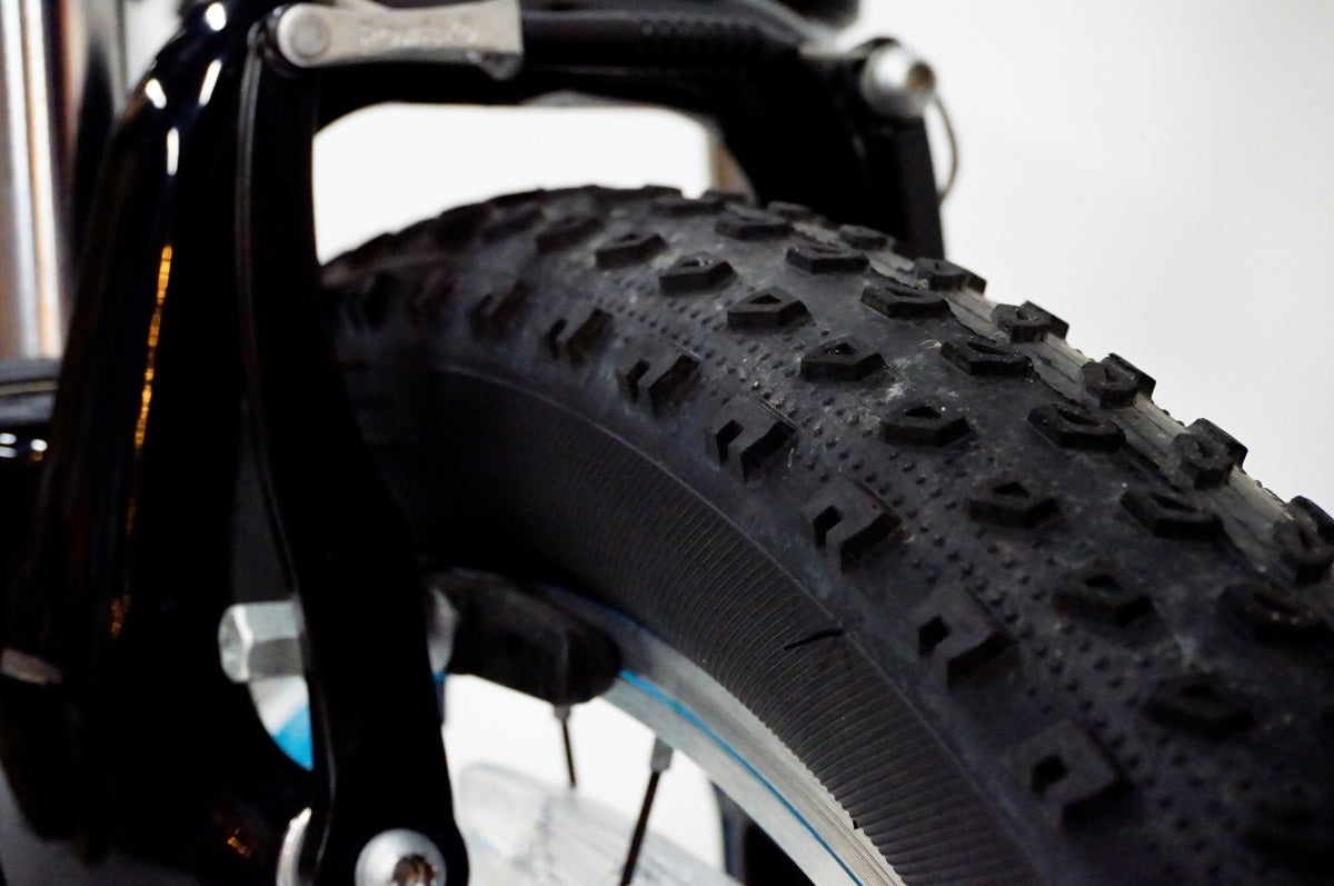 TREK 「トレック」 PRECALIBER GIRLS 20インチ 2020-2022年モデル キッズバイク / 名古屋大須店