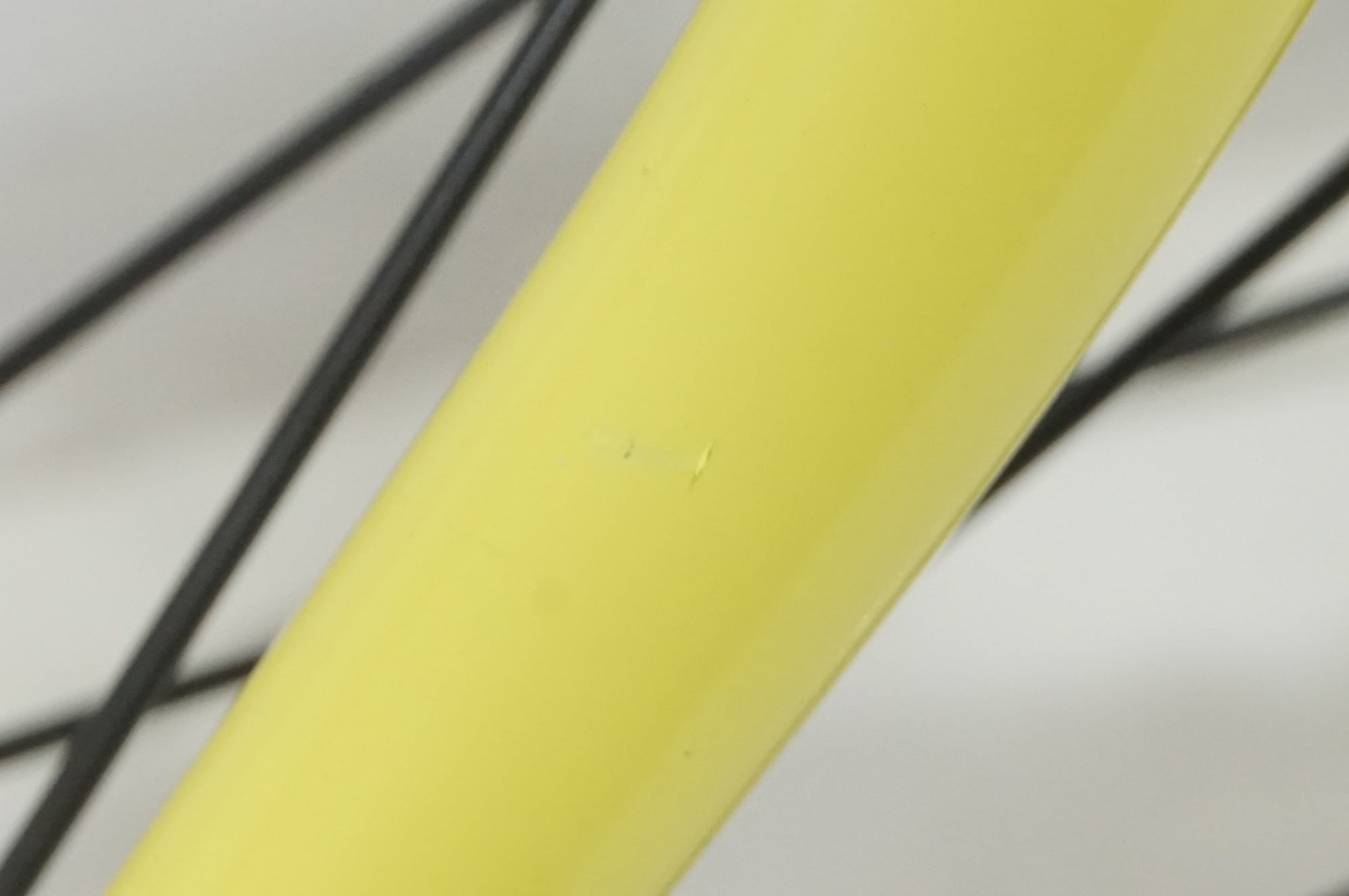 BROMPTON 「ブロンプトン」 PALACE C Line 限定 2024年モデル 16インチ ミニベロ / バイチャリ浦和ベース