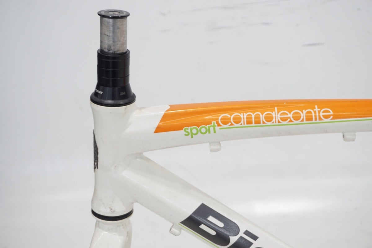 BIANCHI 「ビアンキ」 CAMELEONTE SPORT DUE 2013年モデル フレームセット / 滋賀大津店