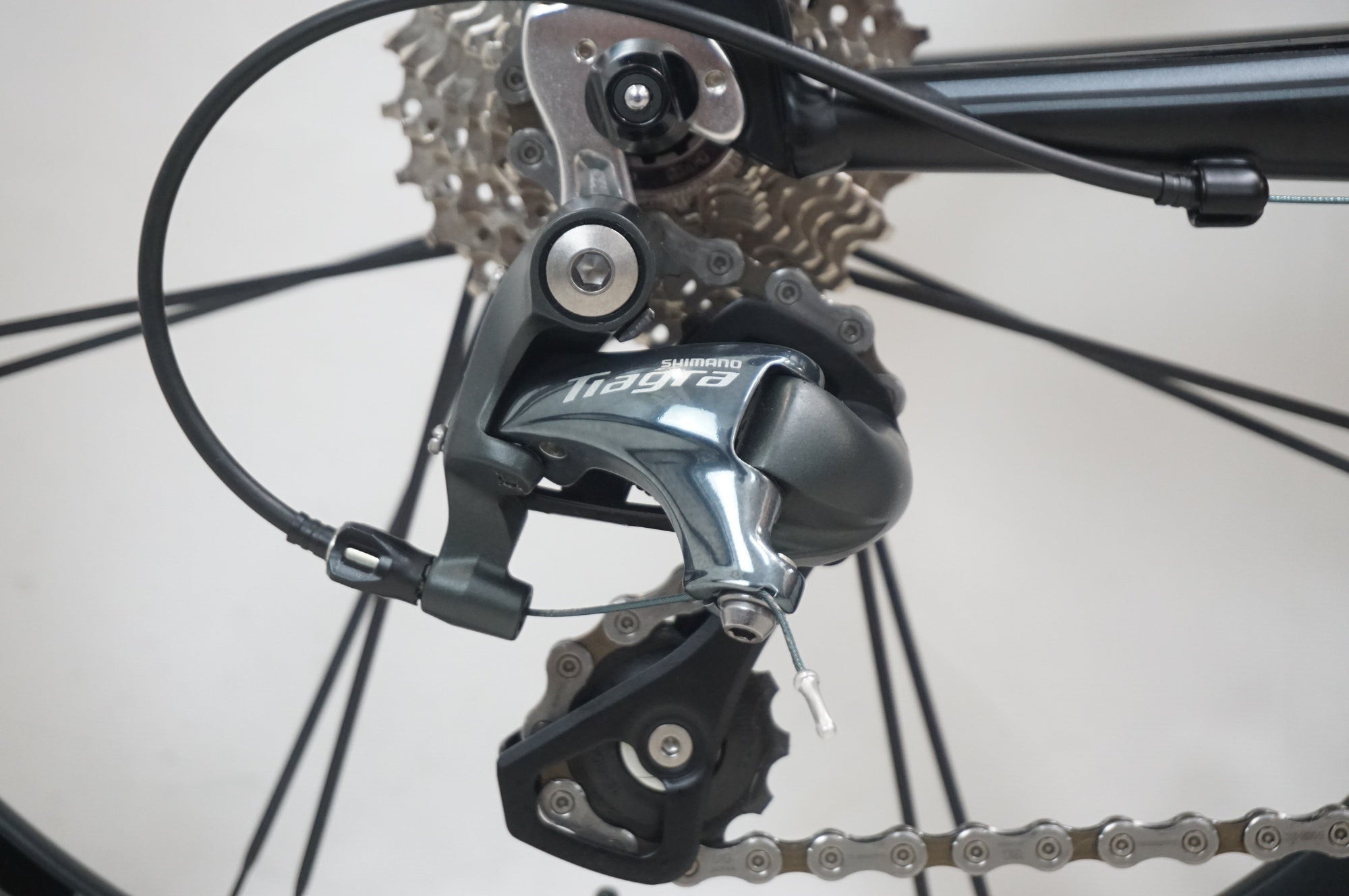 TERN 「ターン」 SURGE PRO 2023年モデル 20インチ ミニベロ / 福岡店