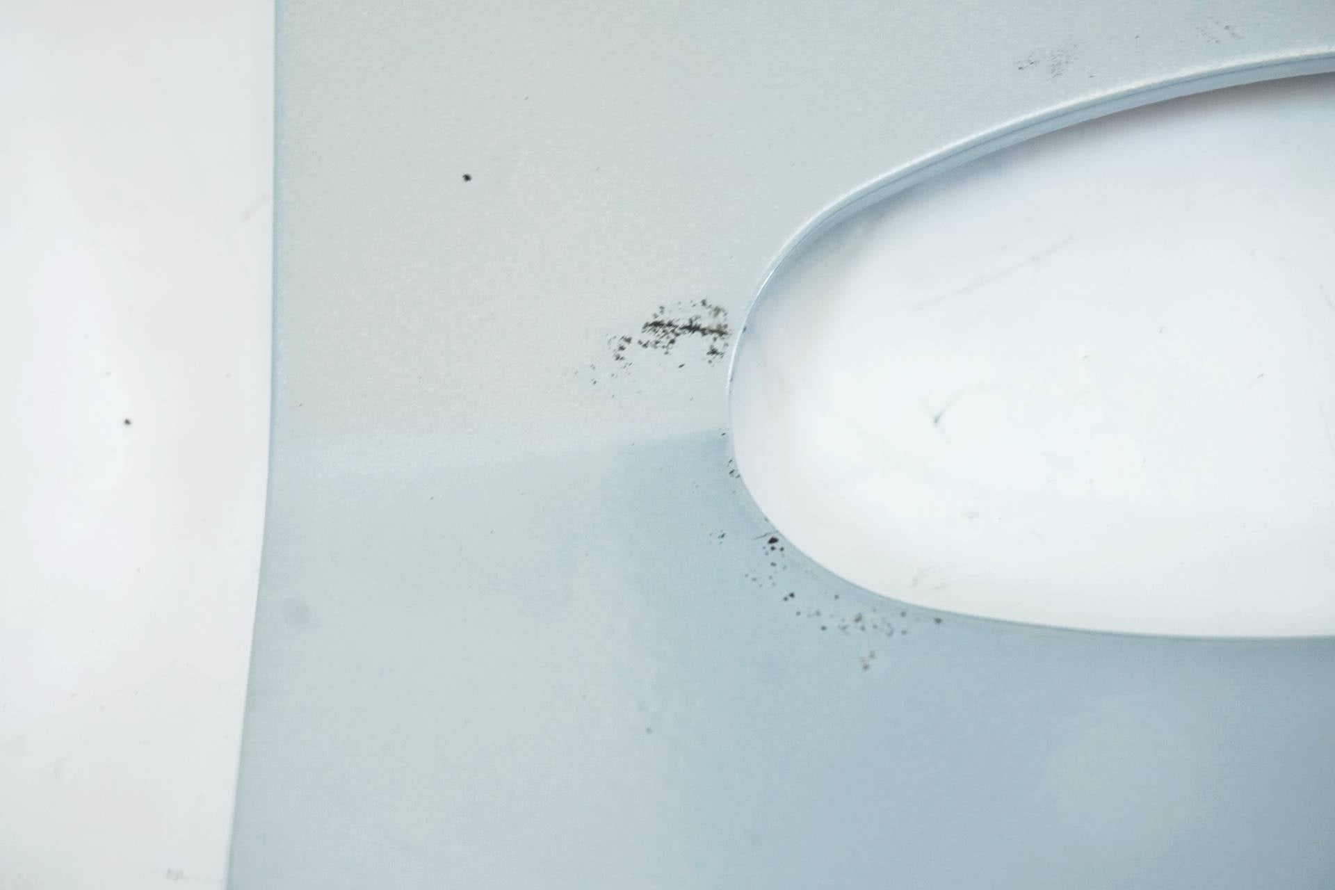 SHIMANO PRO 「シマノプロ」 ディスプレイスタンド / 有明ガーデン店