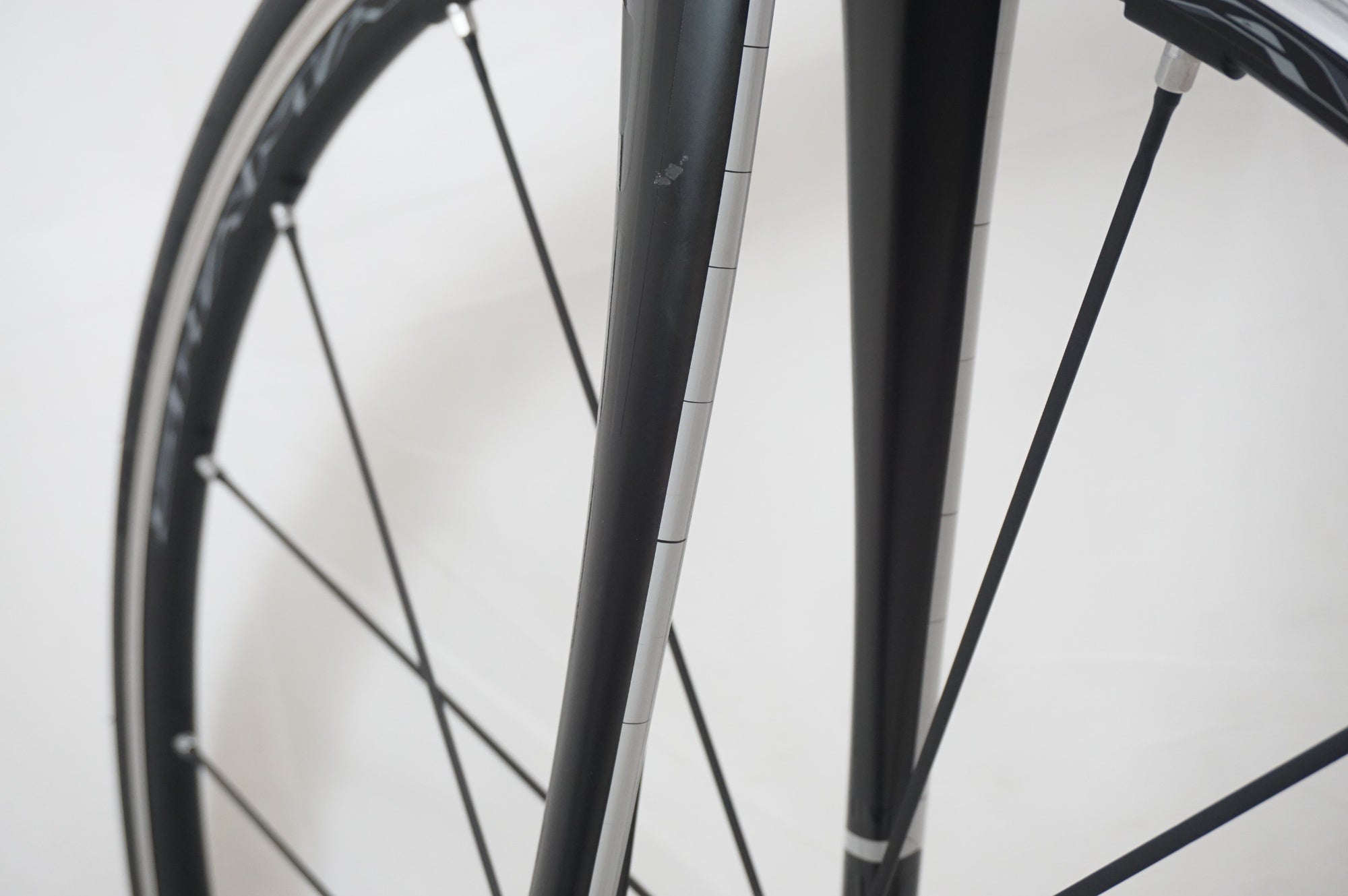 FOCUS 「フォーカス」 CAYO 2017年モデル ロードバイク / 福岡店