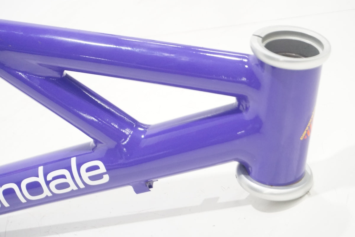 CANNONDALE 「キャノンデール」 DELTA V 900 1992年モデル フレーム / 滋賀大津店