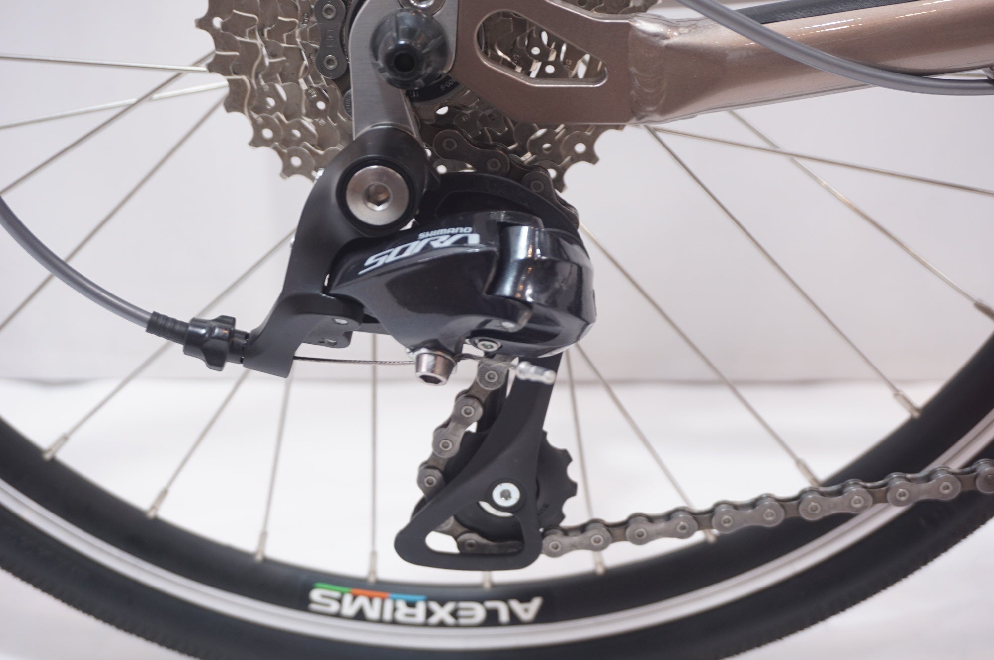 TARTARUGA 「タルタルーガ」 TYPE SPORT GT ver.1.5 2025年モデル 20インチ ミニベロ / 世田谷店