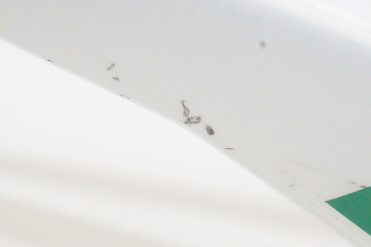 CIPOLLINI 「チッポリーニ」 BOND2 2021年モデル フレームセット / 京都西院店