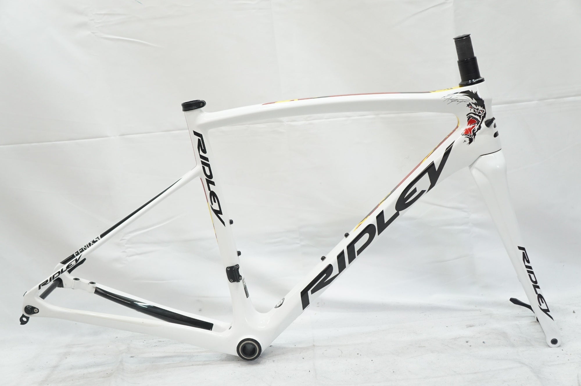 RIDLEY 「リドレー」 FENIX SL DISC 2019年モデル フレームセット / 大宮店