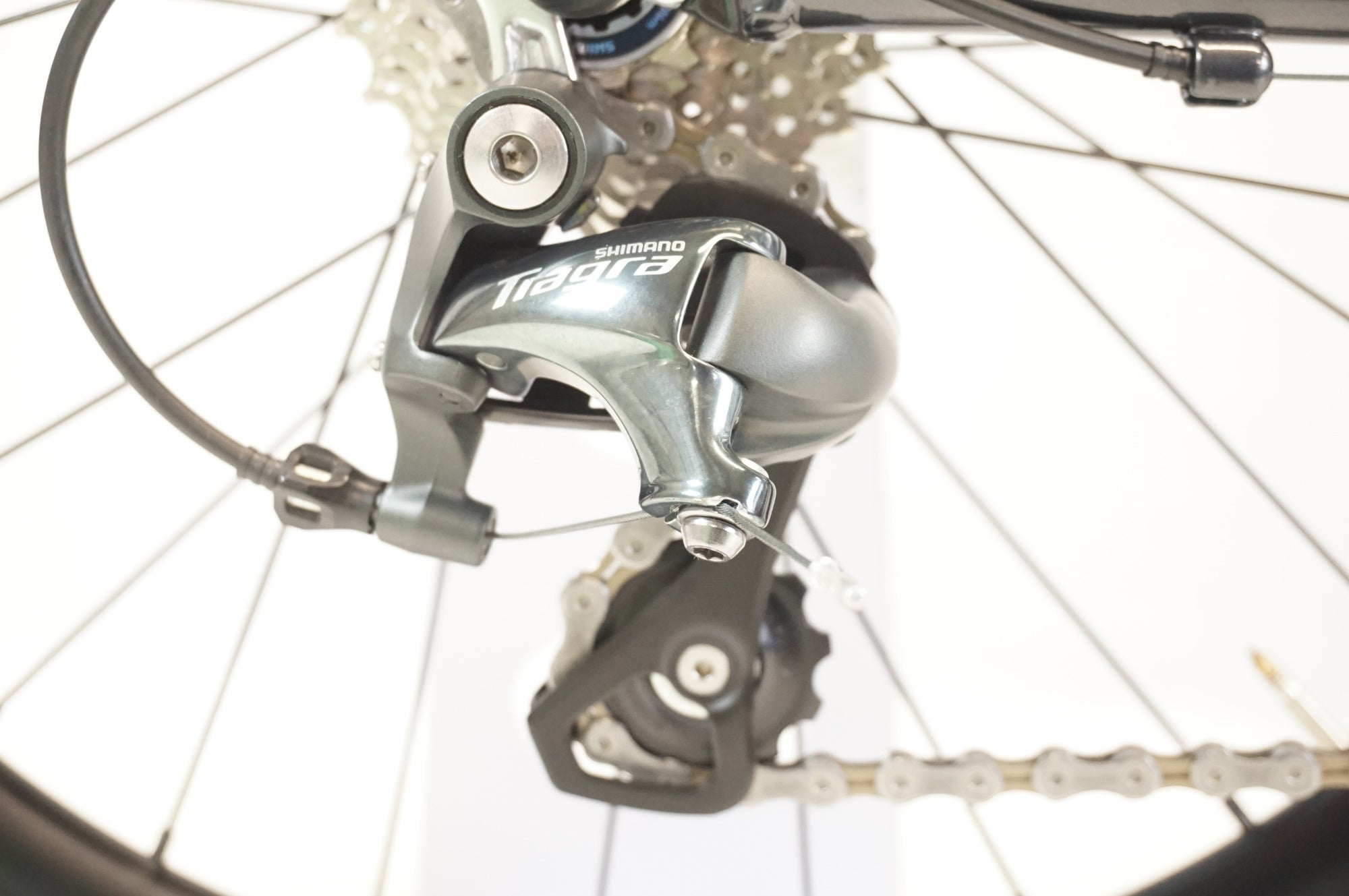 TERN 「ターン」 SURGE カスタム 2024年モデル 20インチ ミニベロ / 宇都宮店