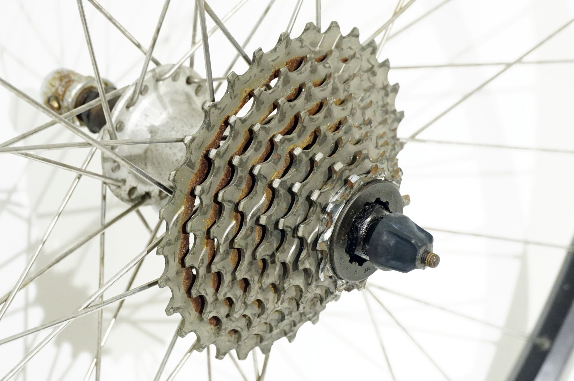 ZAC 「ゼットエーシー」 19 リム SHIMANO FH-RM40-8 リアホイール / 浜松店