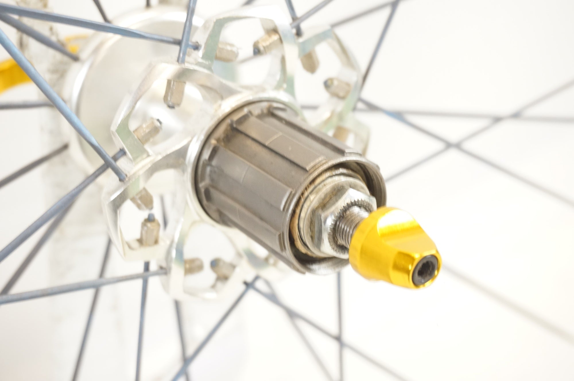 CANECREEK 「ケーンクリーク」 CRONO シマノ10速 リアホイール / 宇都宮店