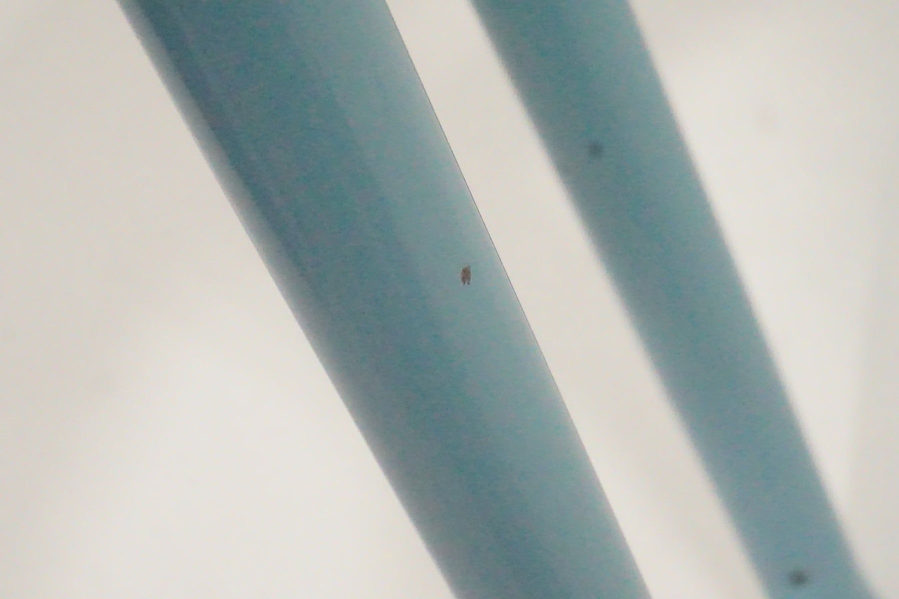 FAIRWEATHER「フェアウェザー」 フレームセット / 京都西院店