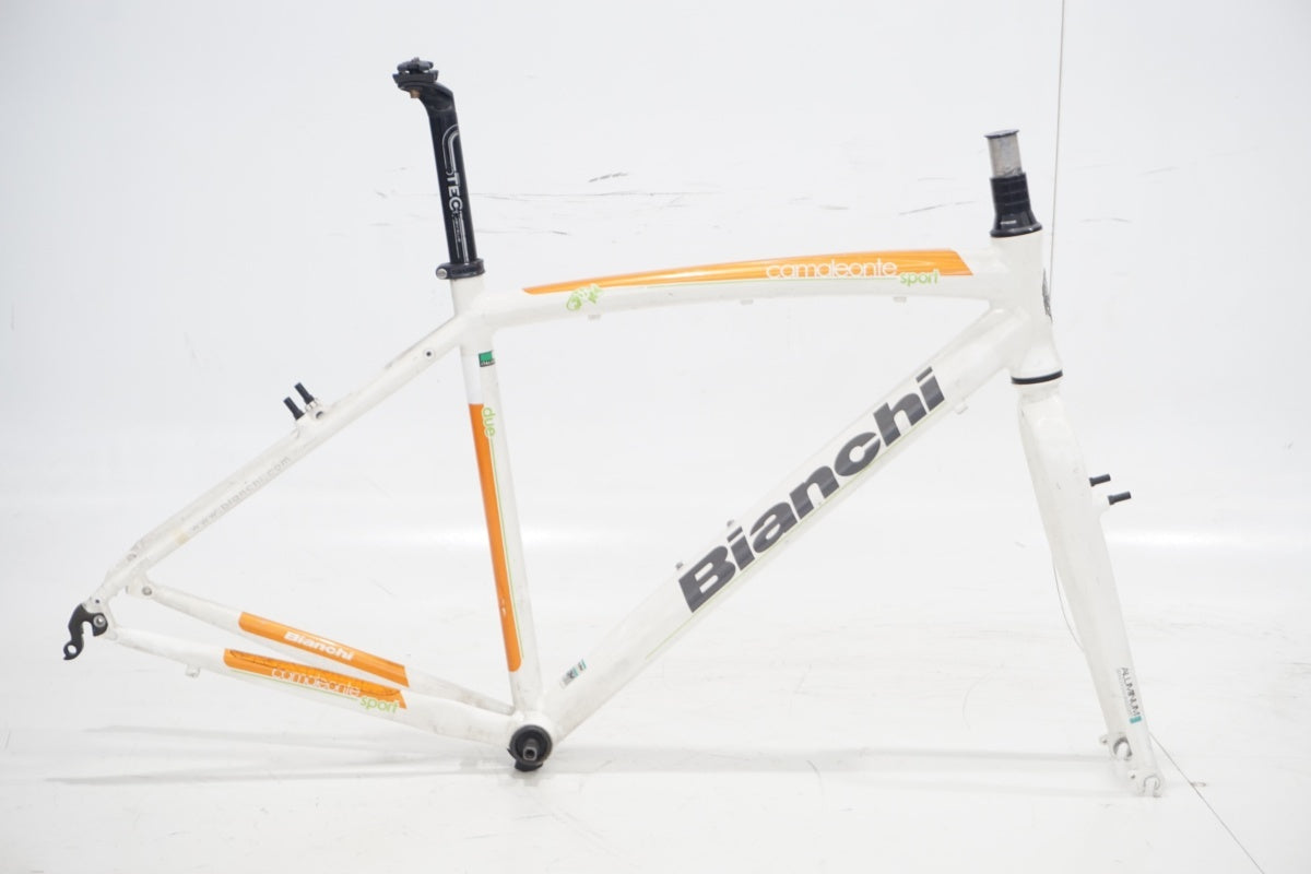 BIANCHI 「ビアンキ」 CAMELEONTE SPORT DUE 2013年モデル フレーム