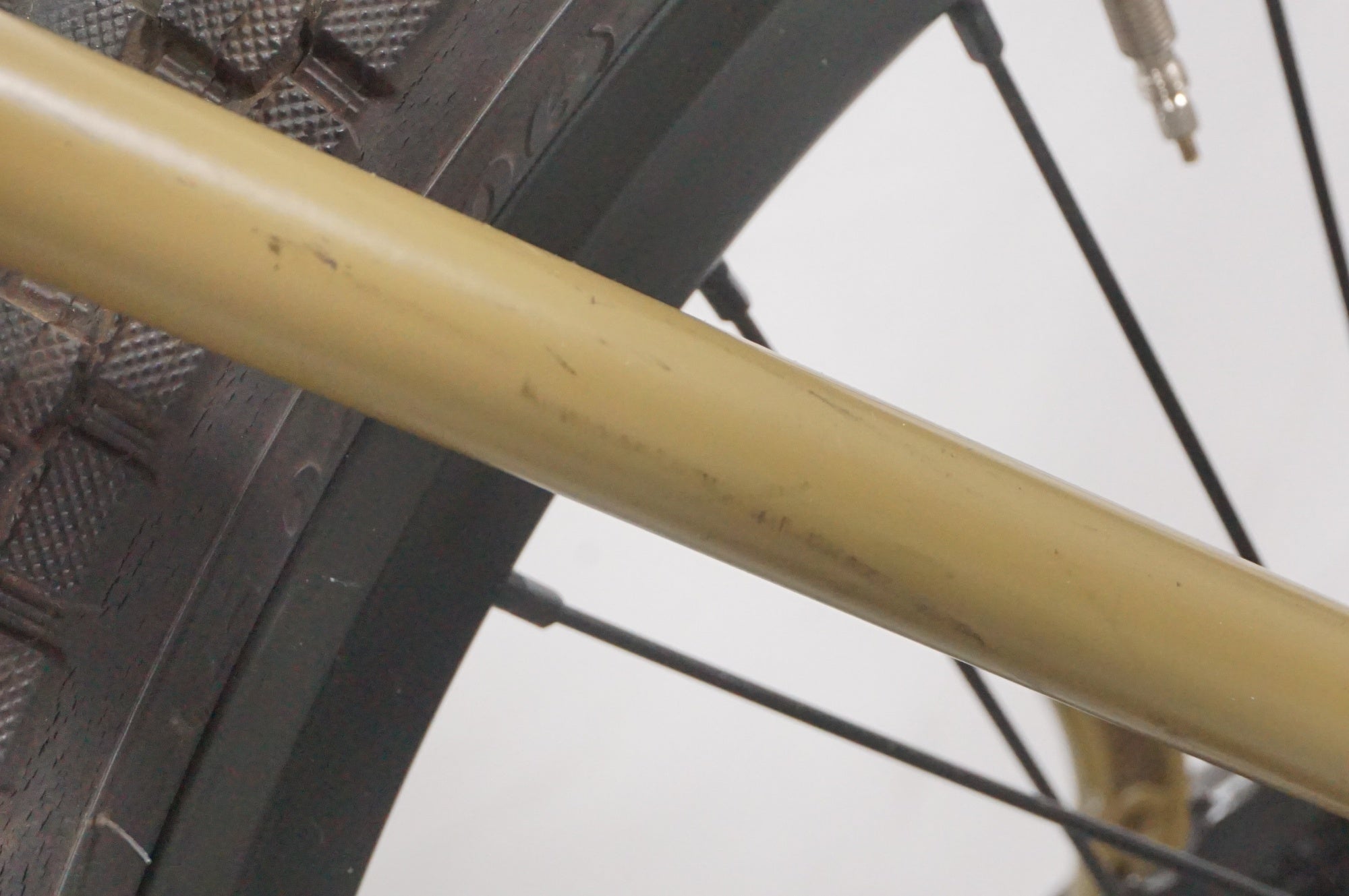 TERN 「ターン」 AMP F1 2023年モデル 20インチ ミニベロ / AKIBA店