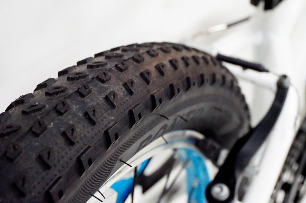TREK 「トレック」 PRECALIBER GIRLS 20インチ 2020-2022年モデル キッズバイク / 名古屋大須店