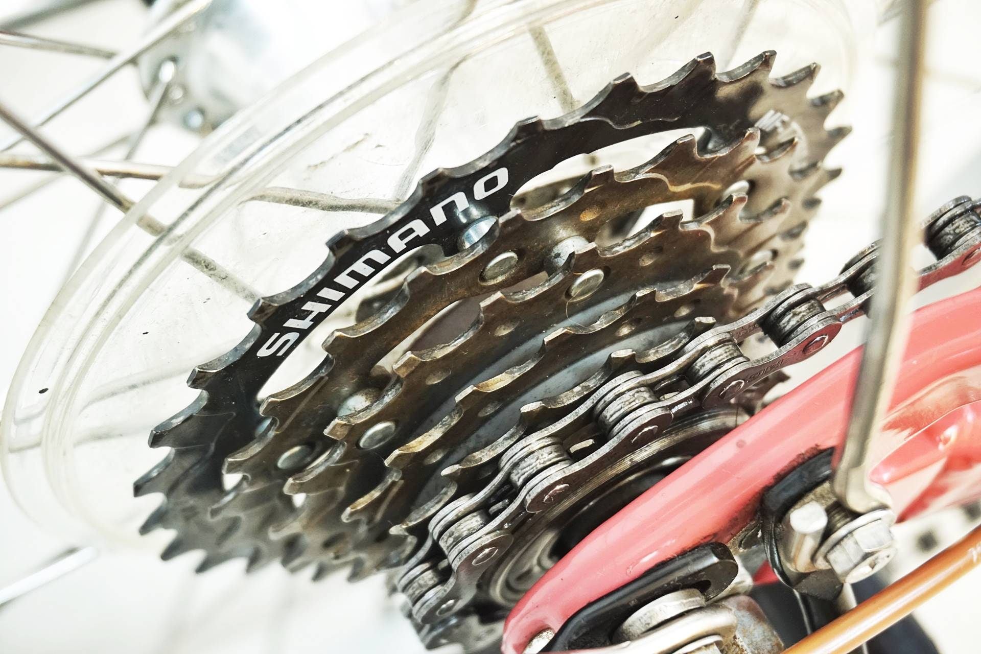 LOUIS GARNEAU 「ルイスガノー」 J20 PLUS 2022年モデル キッズバイク / 有明ガーデン店