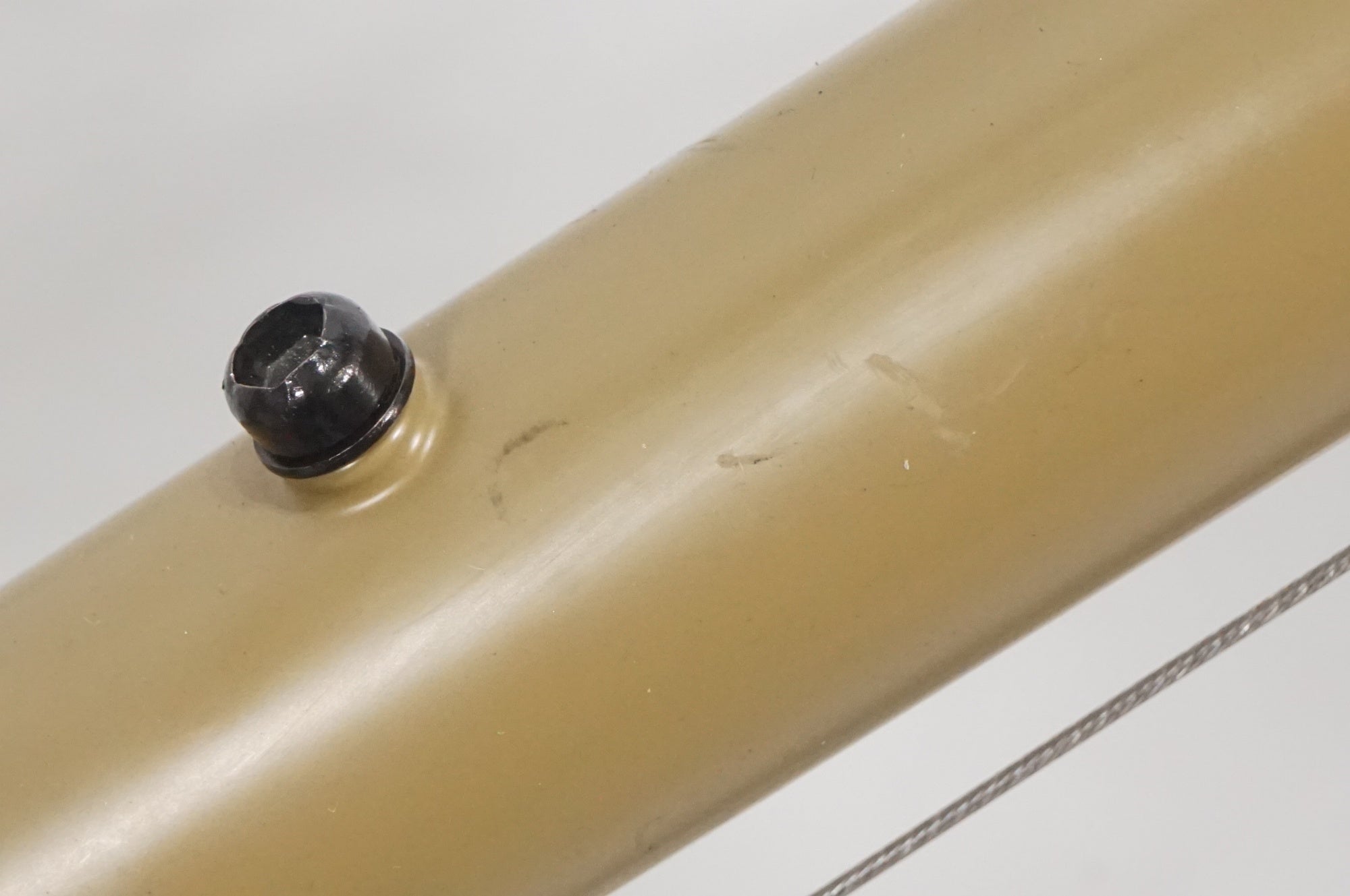 TERN 「ターン」 AMP F1 2023年モデル 20インチ ミニベロ / AKIBA店