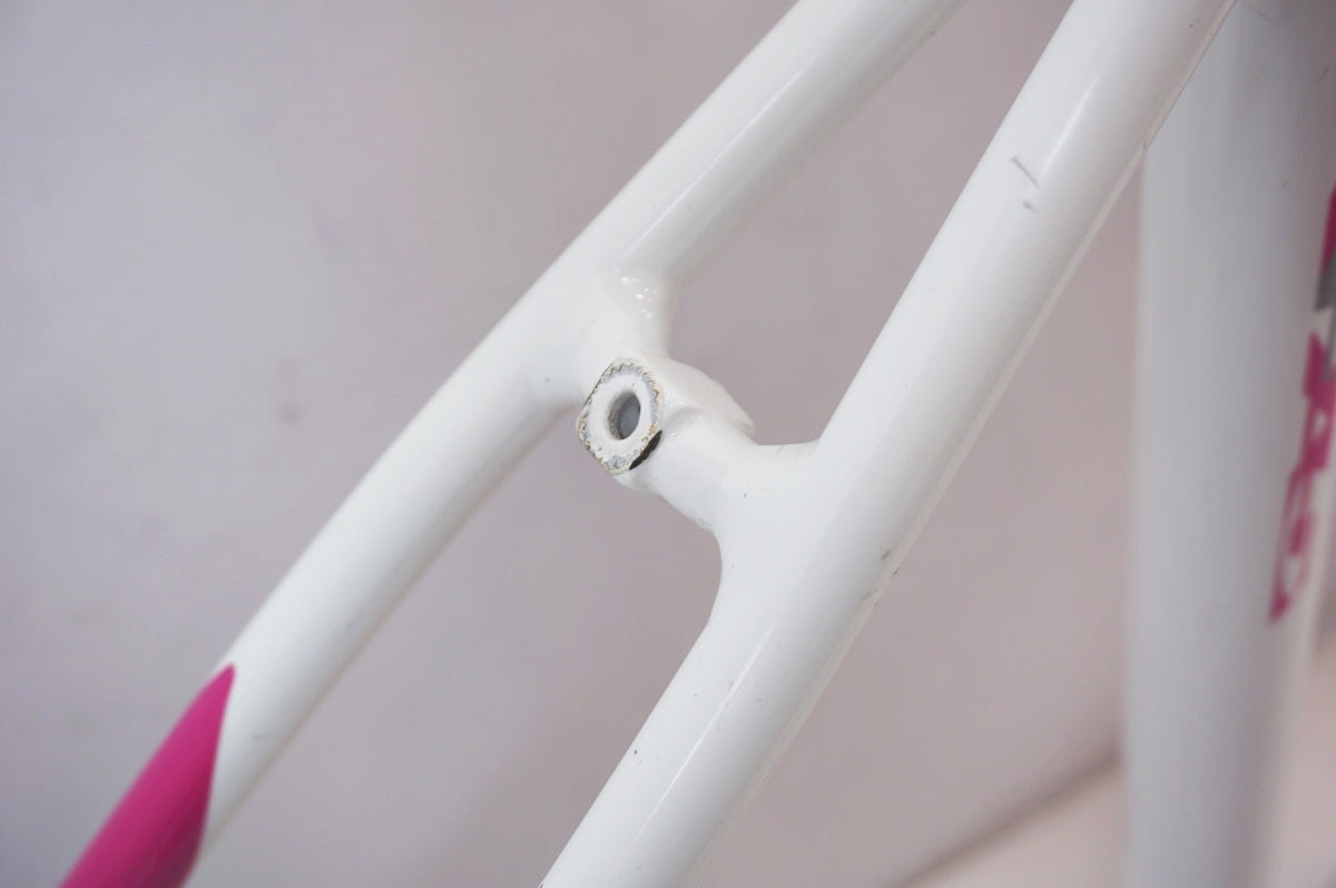 ANCHOR 「アンカー」 RFA5 EQUIPE 2013年モデル フレームセット / バイチャリ世田谷店