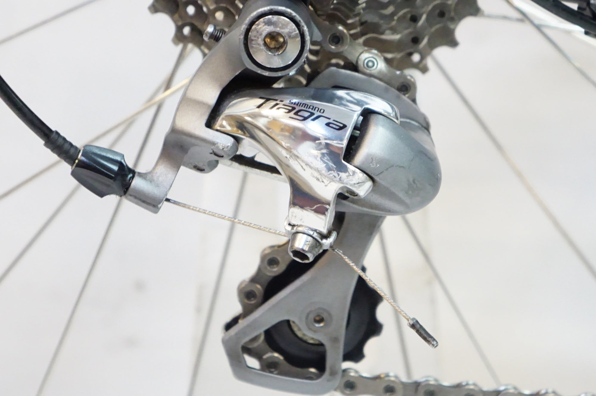 SPECIALIZED 「スペシャライズド」 DOLCE ELITE EQ 2015年モデル ロードバイク / 熊谷本店