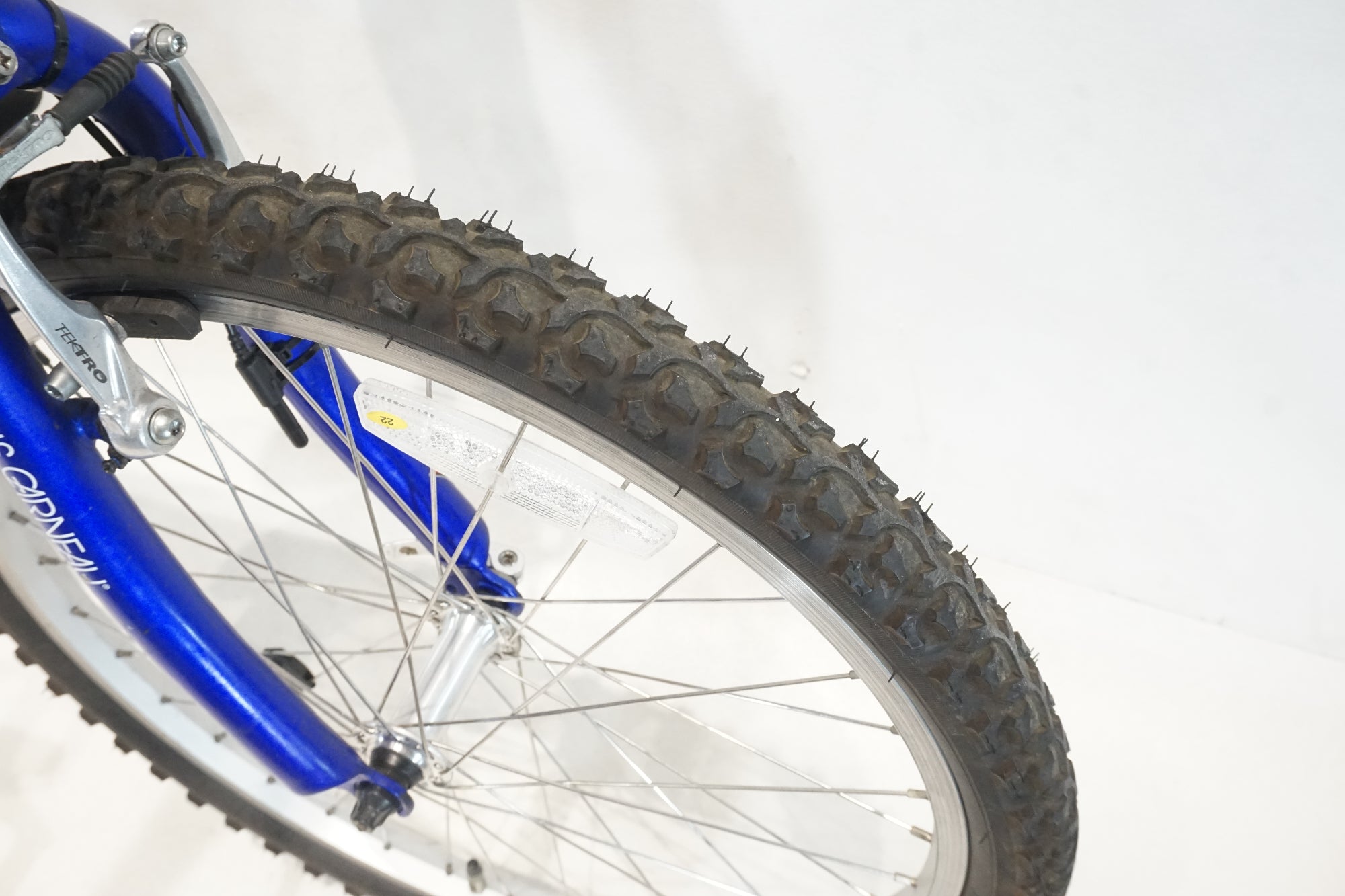 LOUIS GARNEAU 「ルイガノ」 LGS-J22 2019年ごろモデル 22インチ キッズバイク / 横浜戸塚店