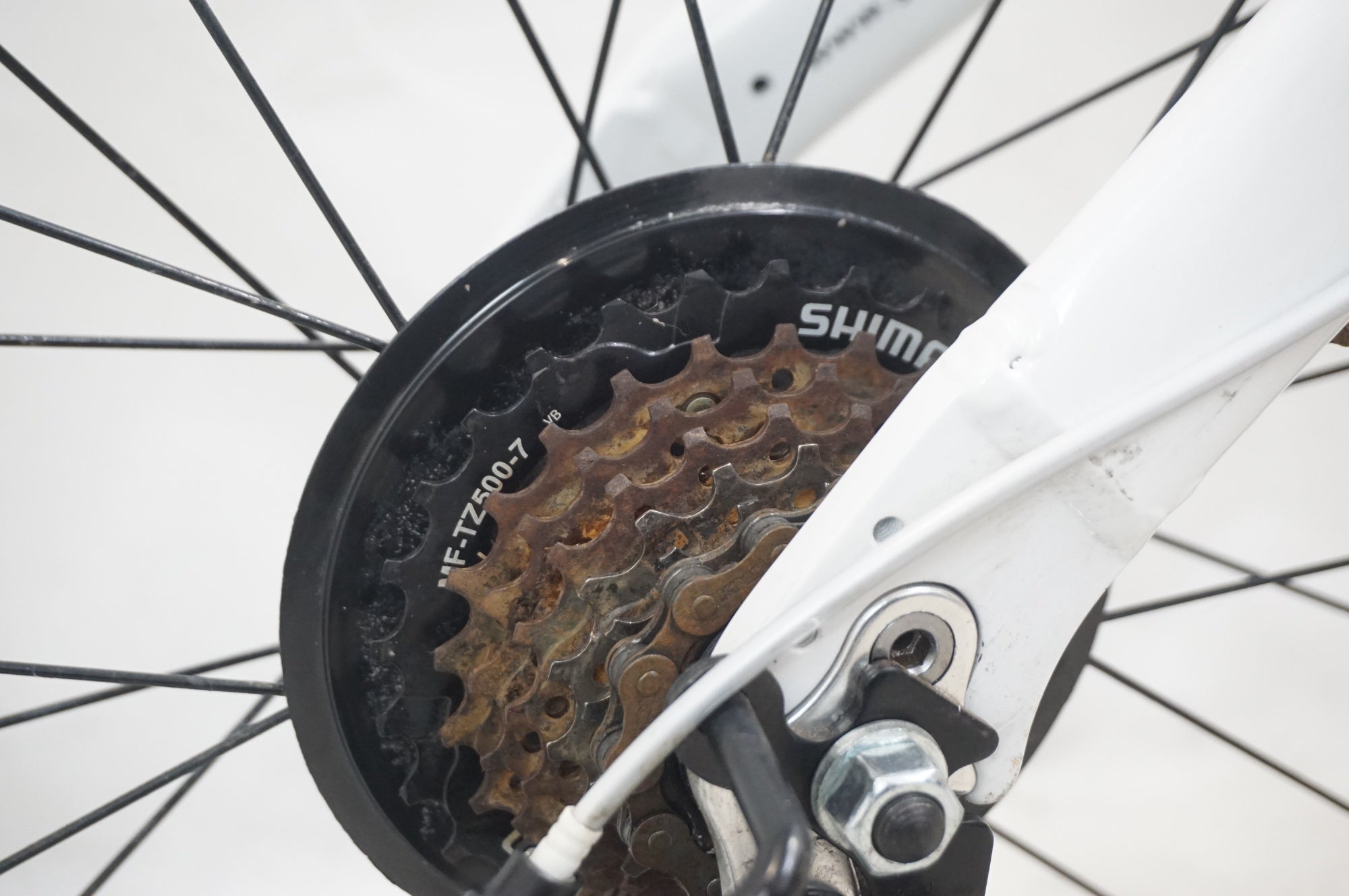 RENAULT 「ルノー」 LIGHT10 2024年モデル 20インチ 折り畳み自転車 / 福岡店