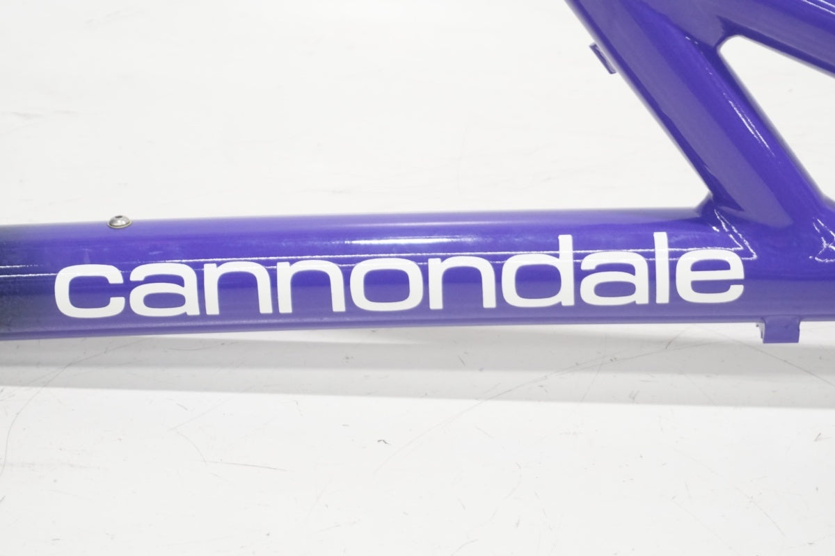 CANNONDALE 「キャノンデール」 DELTA V 900 1992年モデル フレーム / 滋賀大津店