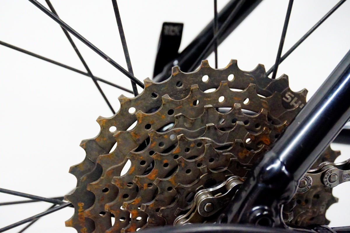 TREK 「トレック」 DOMANE AL2 RIM 2021年モデル ロードバイク / 名古屋大須店