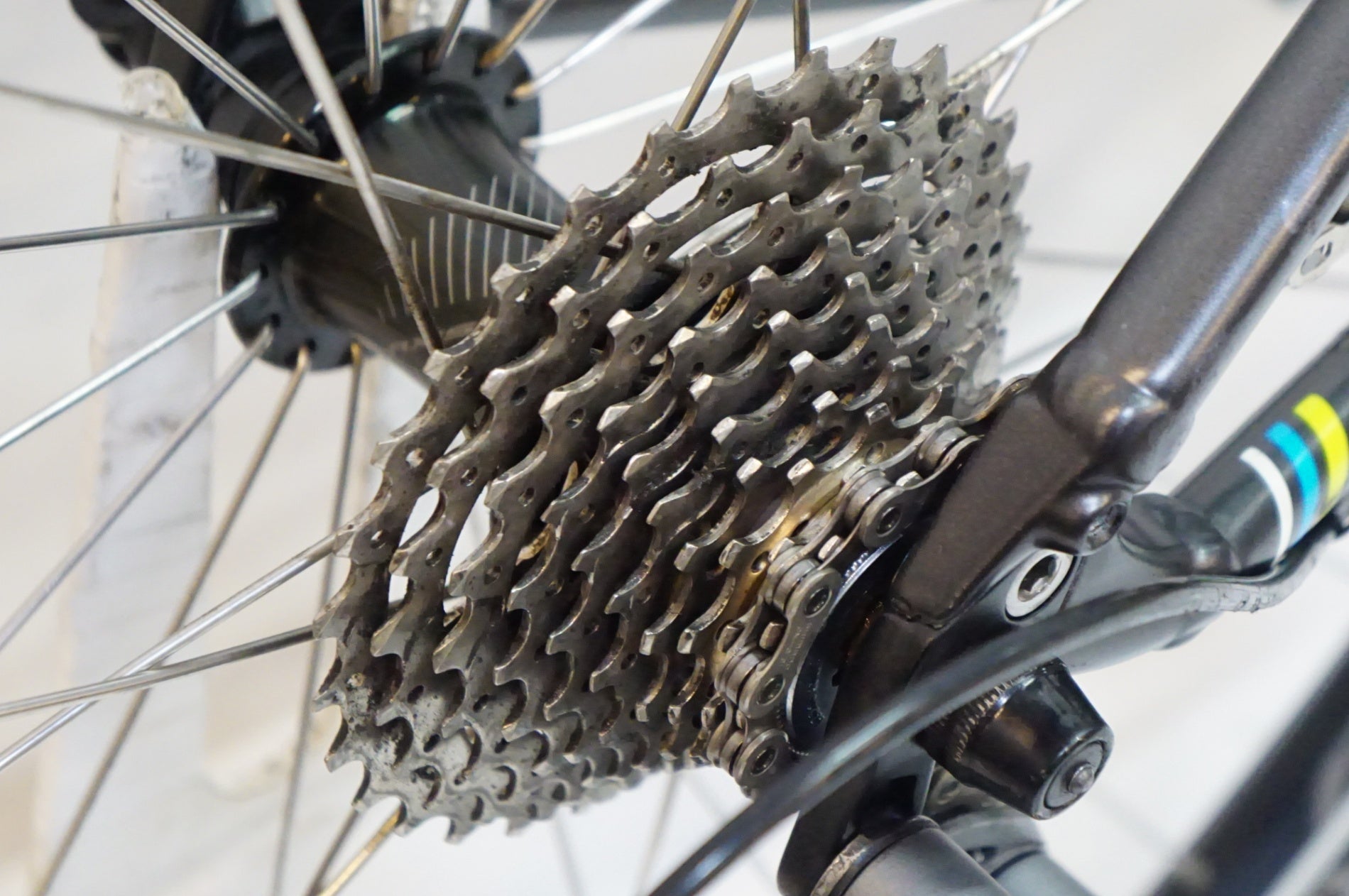 SPECIALIZED 「スペシャライズド」 DOLCE ELITE EQ 2015年モデル ロードバイク / 熊谷本店