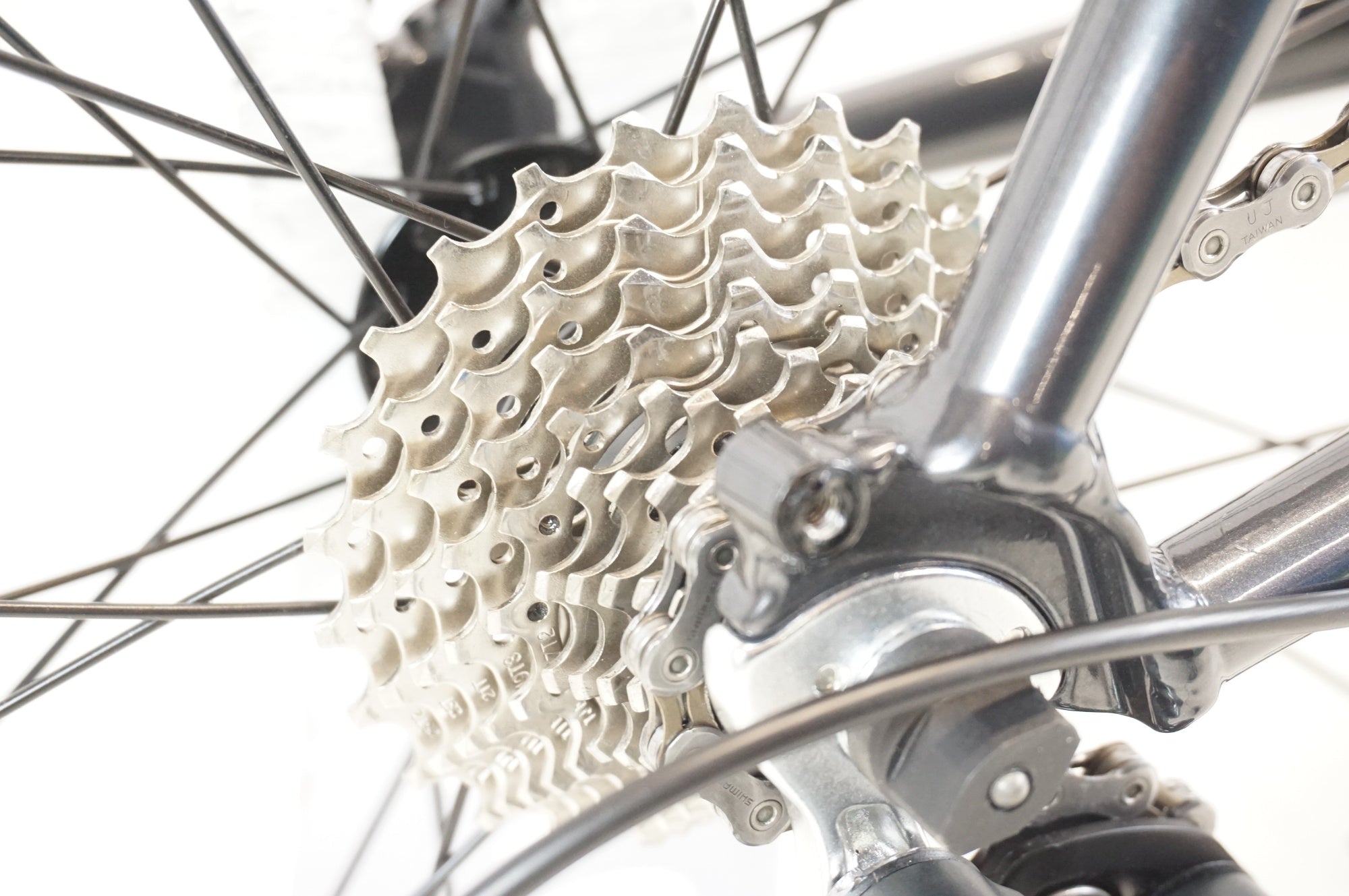 TERN 「ターン」 SURGE カスタム 2024年モデル 20インチ ミニベロ / 宇都宮店