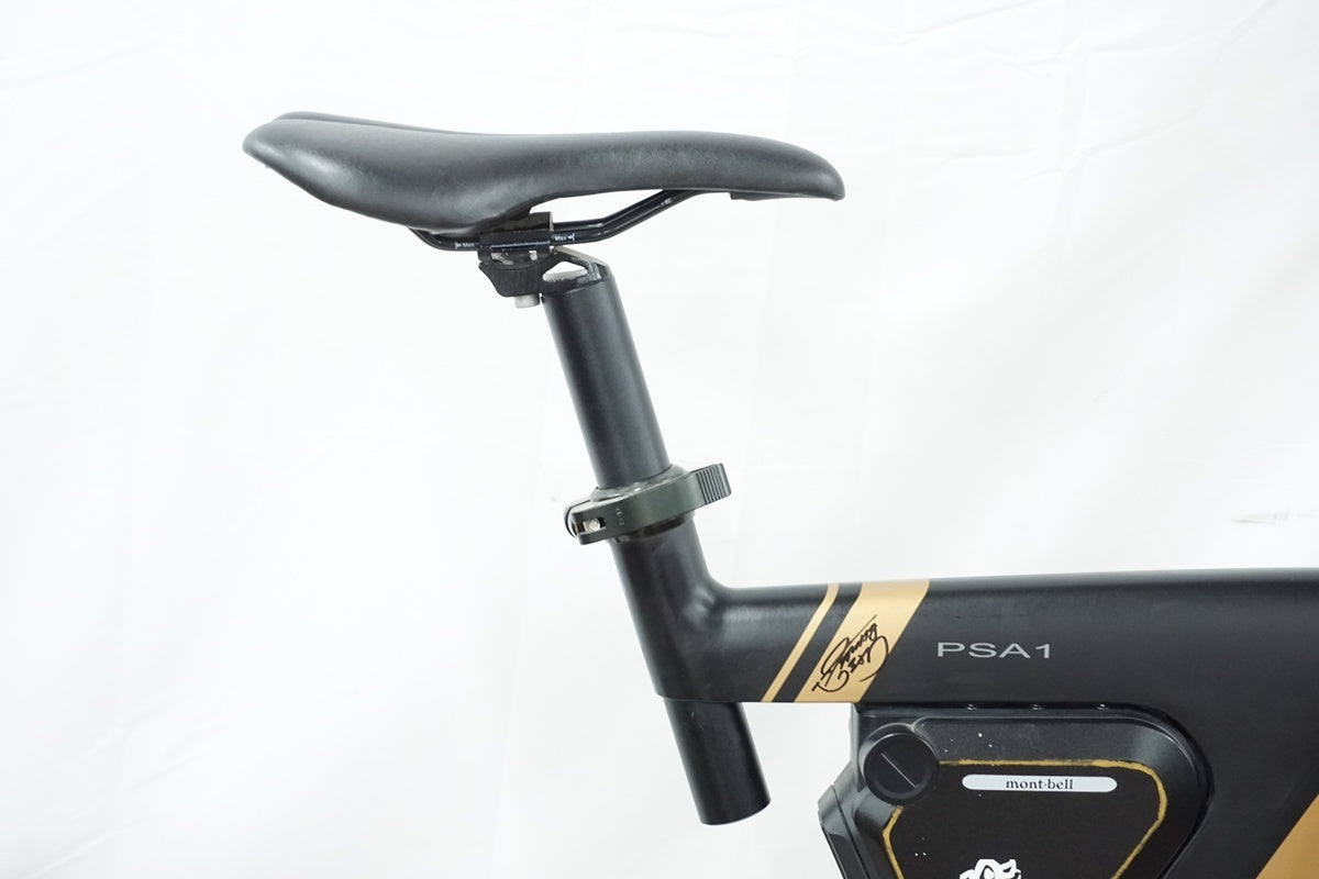 BESV 「ベスビー」 PSA1 2019年モデル 電動アシスト自転車