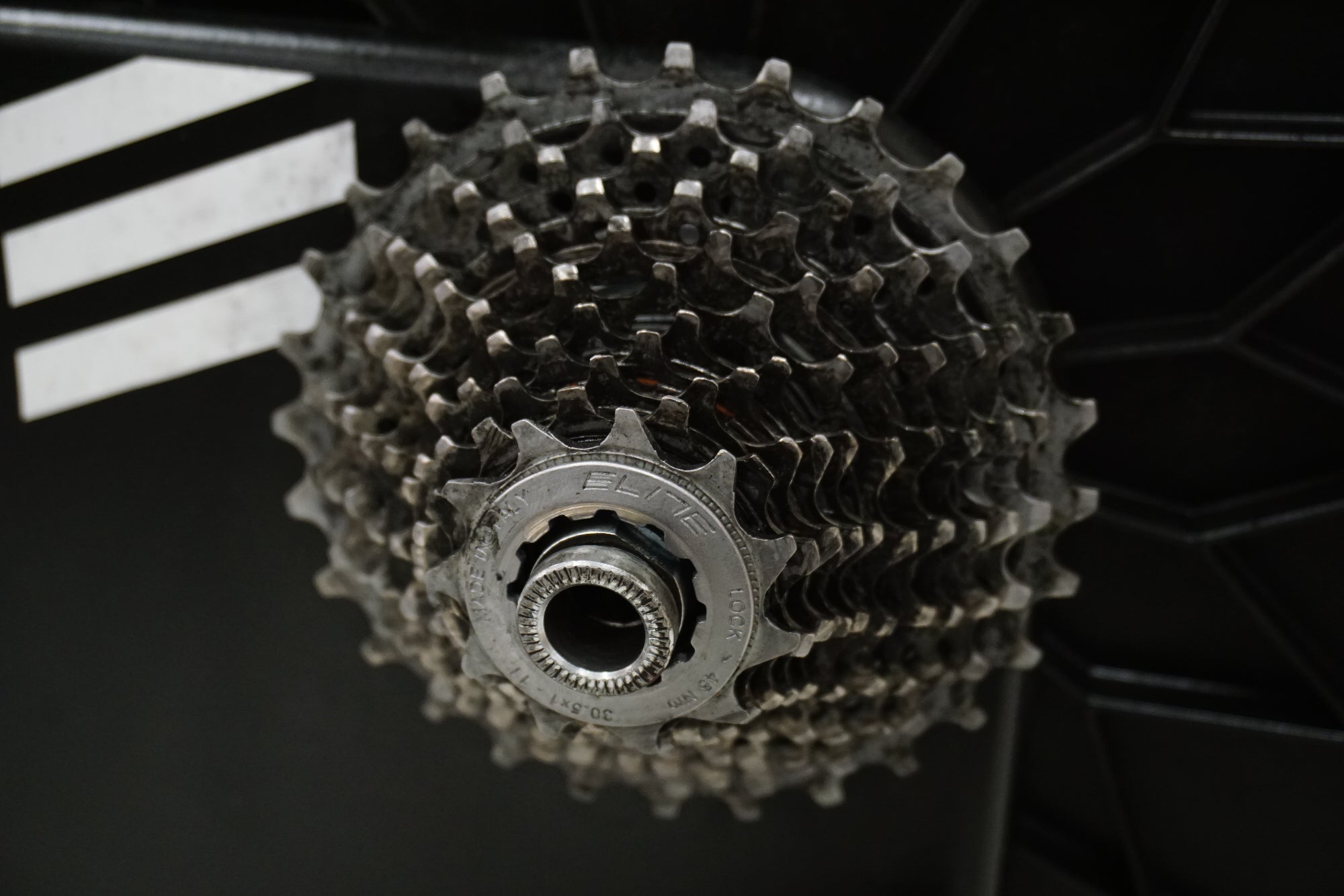 ELITE 「エリート」 SUITO-T スマートローラー / 浜松店