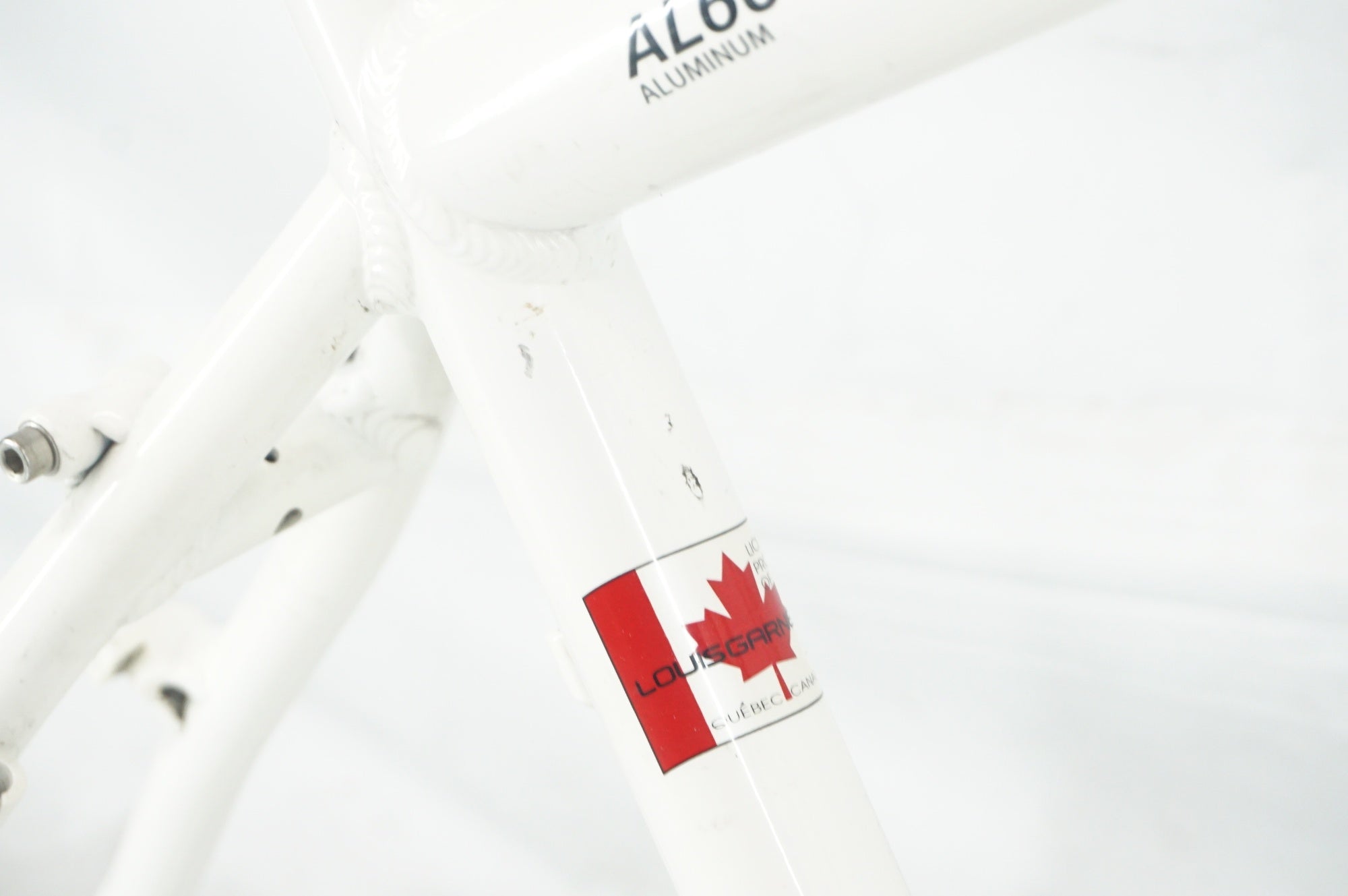 ジャンク LOUIS GARNEAU 「ルイガノ」 FIVE 2012年モデル マウンテンバイク フレーム / 阪急塚口店