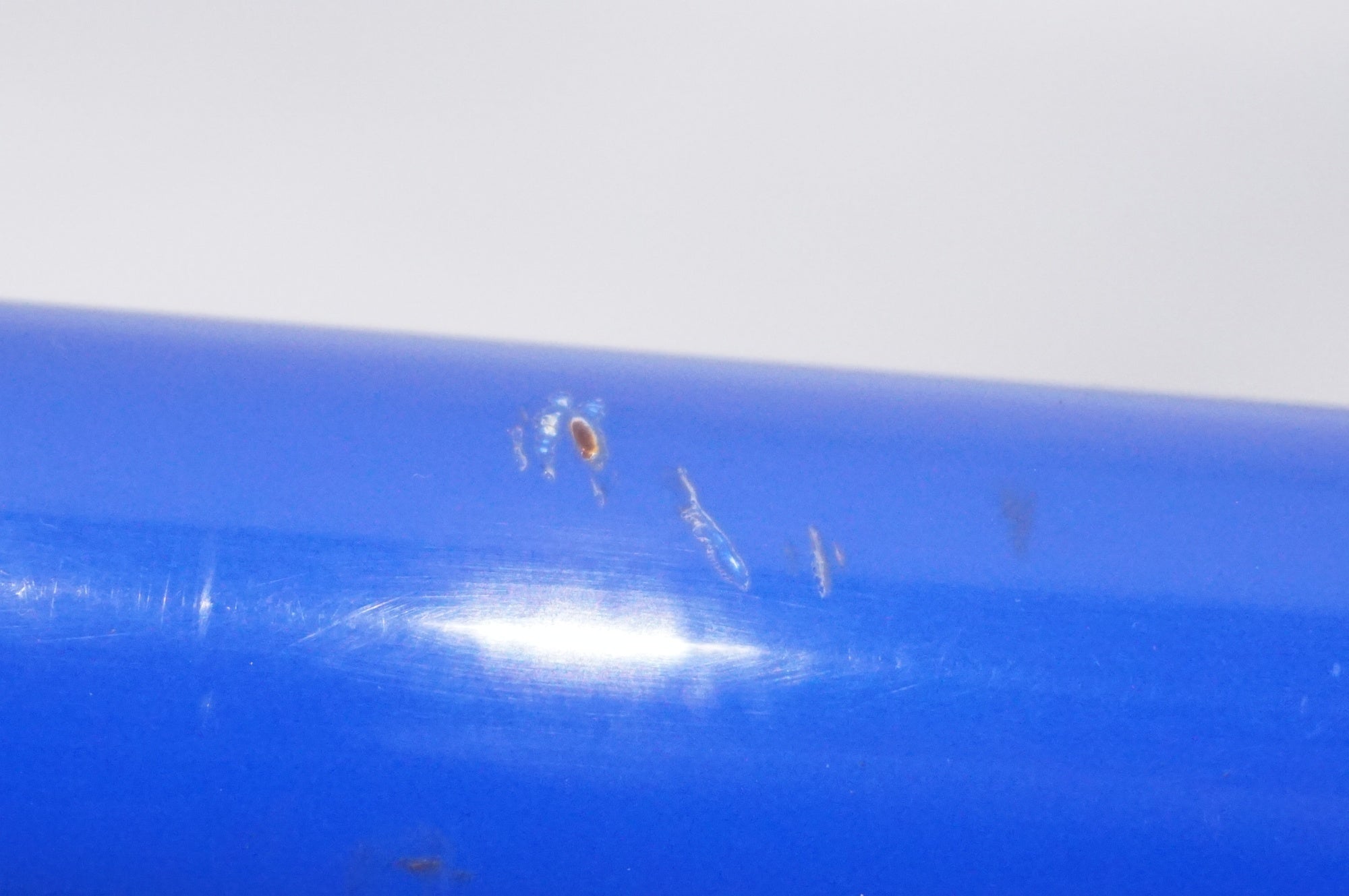 ジャンク GIOS 「ジオス」 FELUCA SORA 2018年モデル 20インチ ミニベロ / AKIBA店