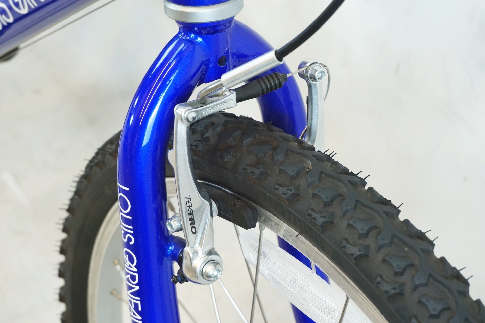 LOUIS GARNEAU 「ルイガノ」 LGS-J22 2019年モデル キッズバイク / 有明ガーデン店