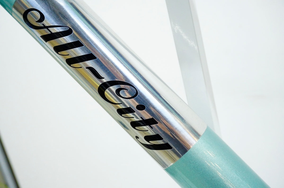 ALL CITY 「オールシティ」 THUNDERDOME 年式不明 フレームセット / 名古屋大須店