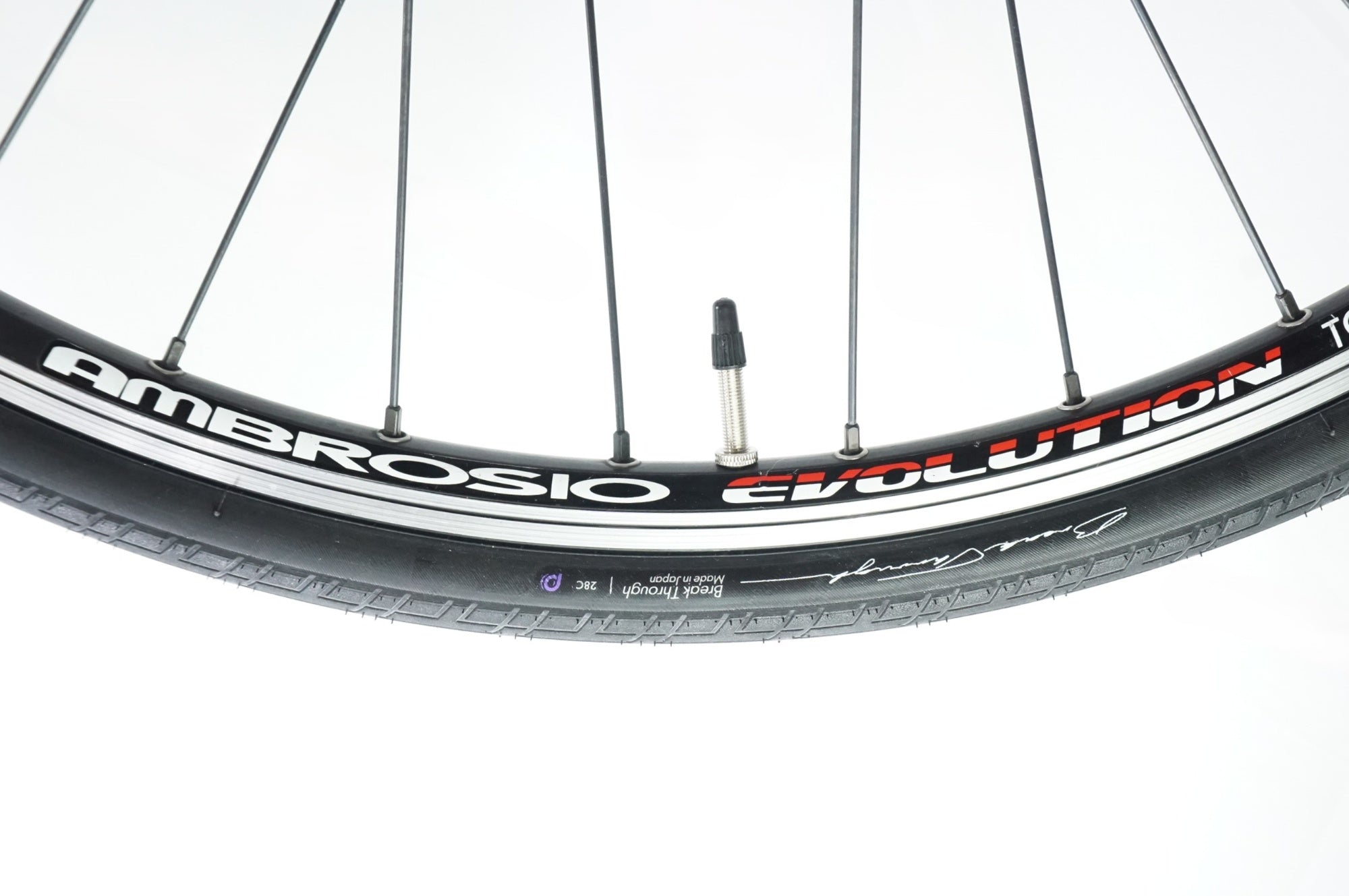 TOYO FRAME 「トーヨーフレーム」 THE PARK PIST 2019年モデル ピストバイク / 中目黒店