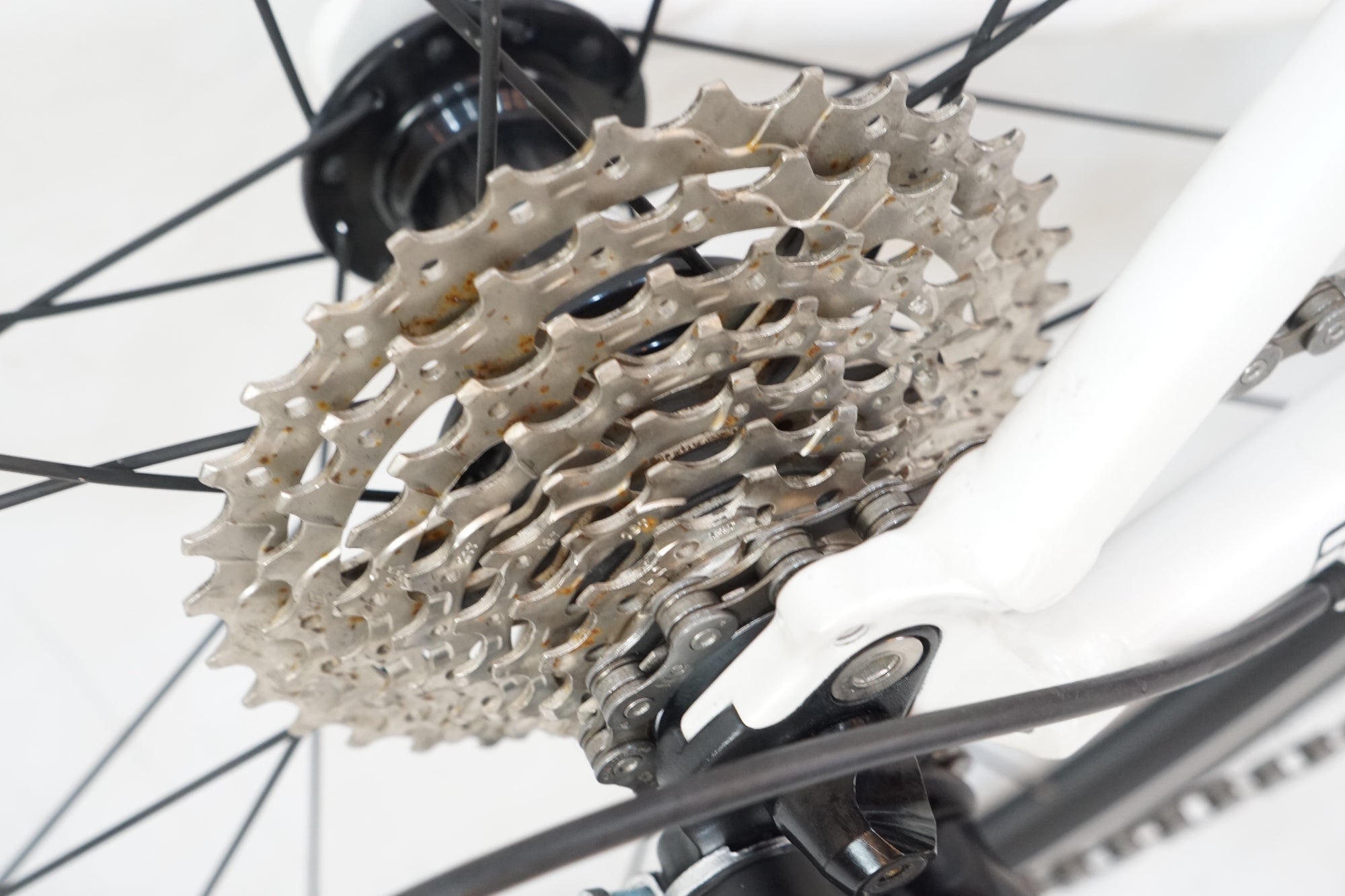 NESTO 「ネスト」 ALTERNA SORA 2021年モデル ロードバイク / バイチャリ浦和ベース