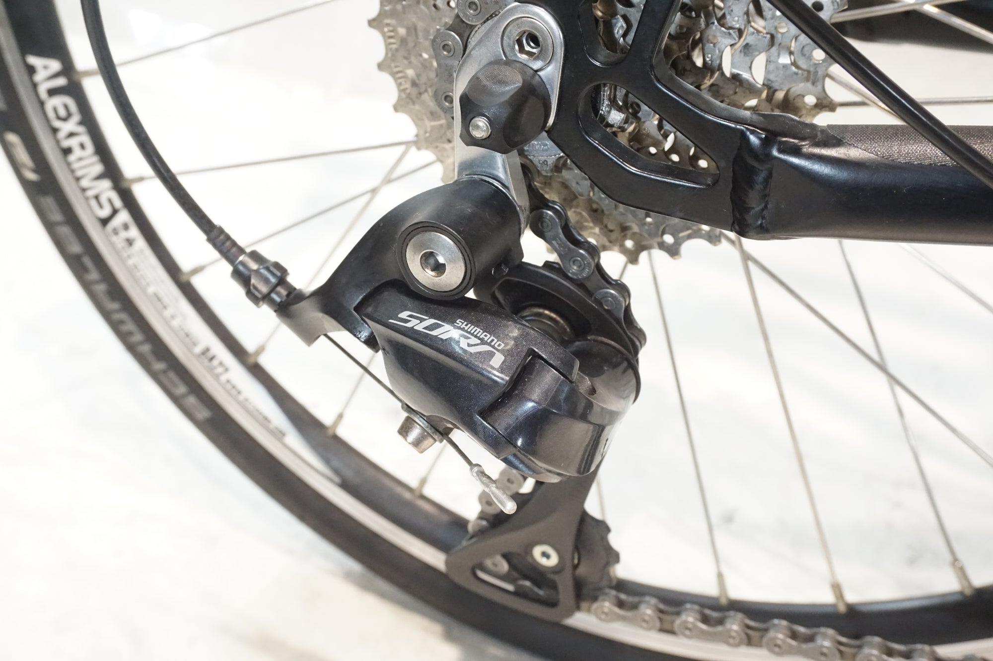 TARTARUGA 「タルタルーガ」 TYPE SPORT 2018年モデル 20インチ ミニベロ / 横浜戸塚店