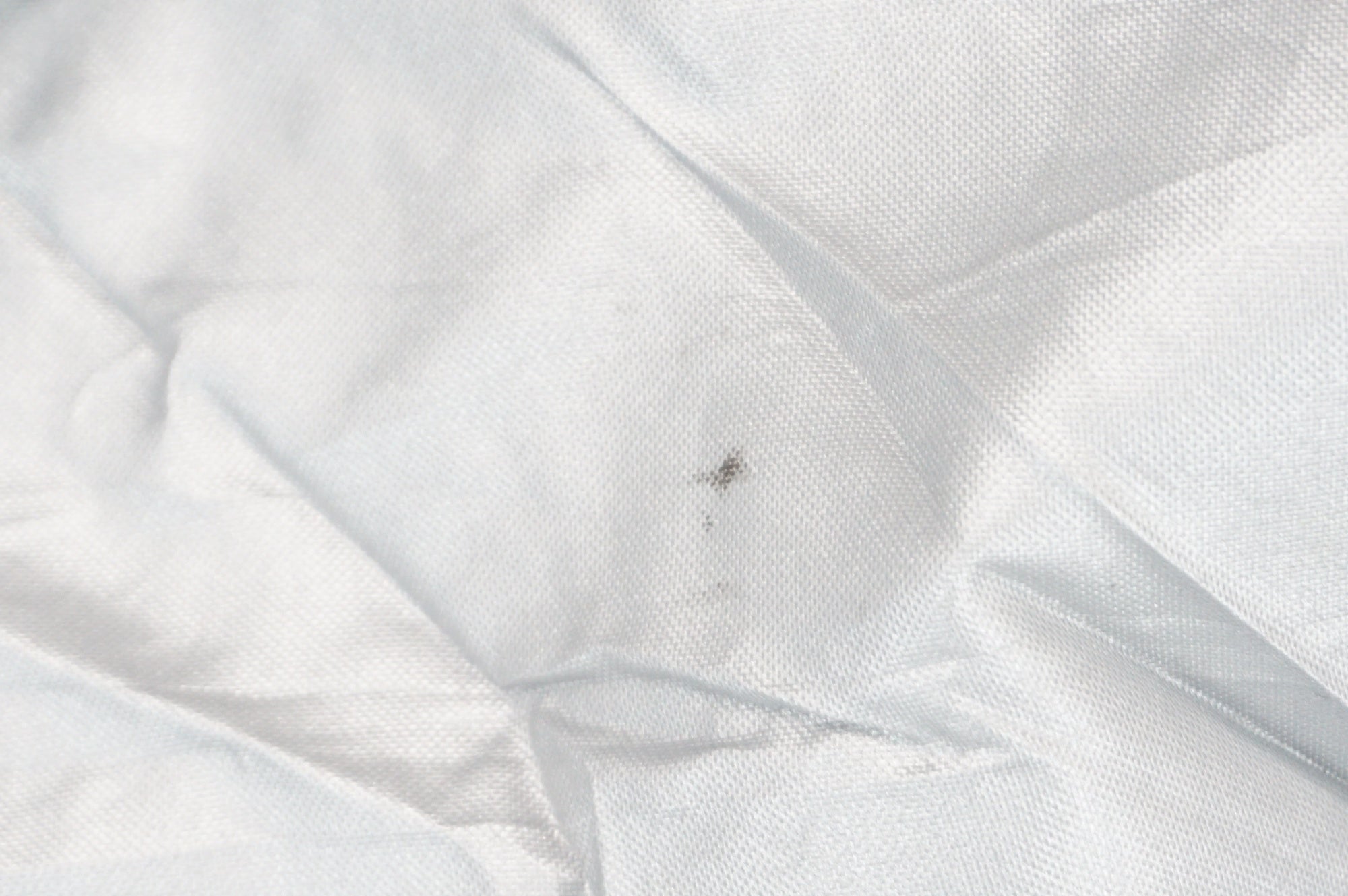 OSTRICH 「オーストリッチ」 輪行バッグ / 阪急塚口店