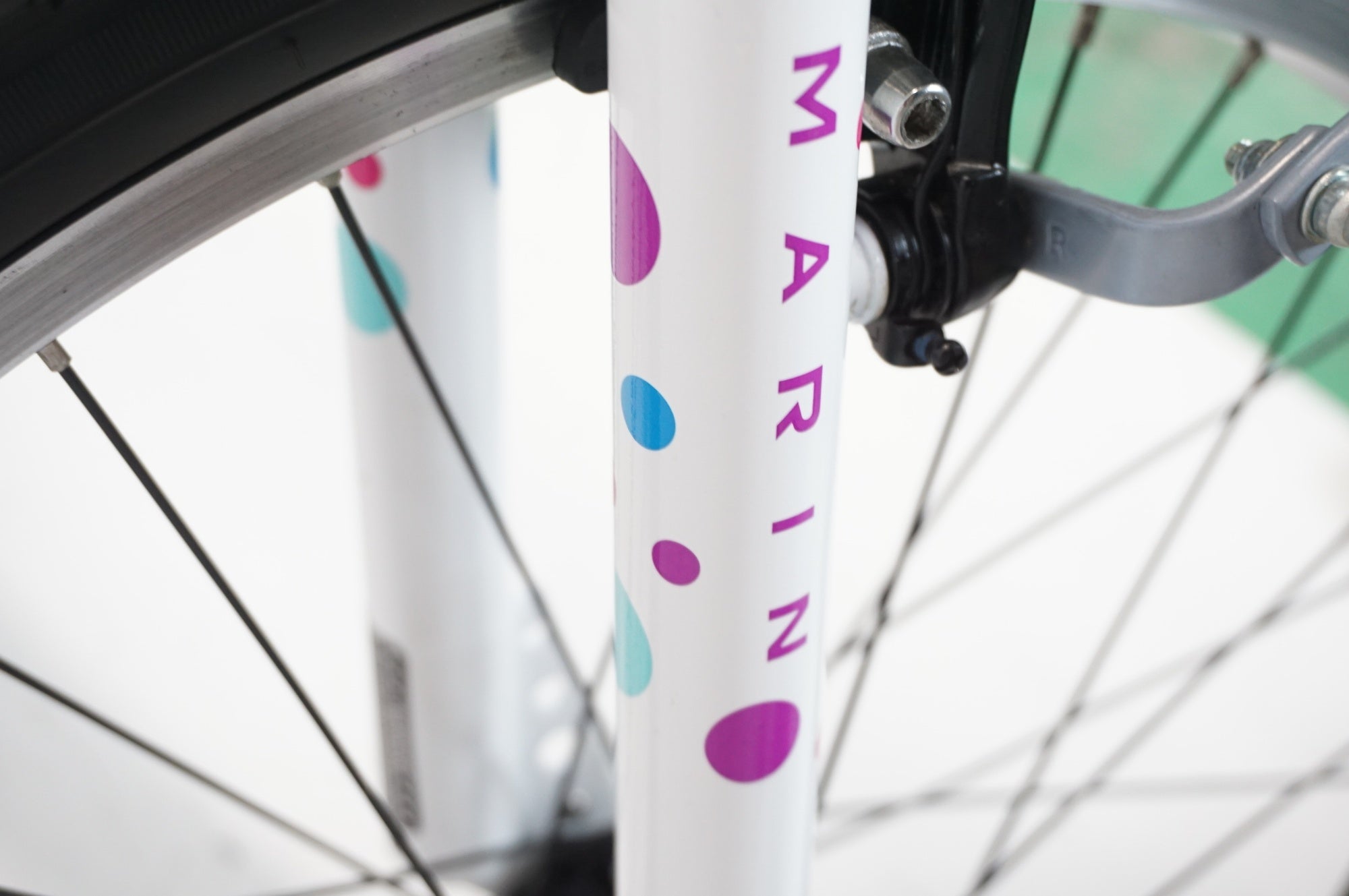 MARIN 「マリン」 DONKY JR 22 2020年モデル キッズバイク / 宇都宮店