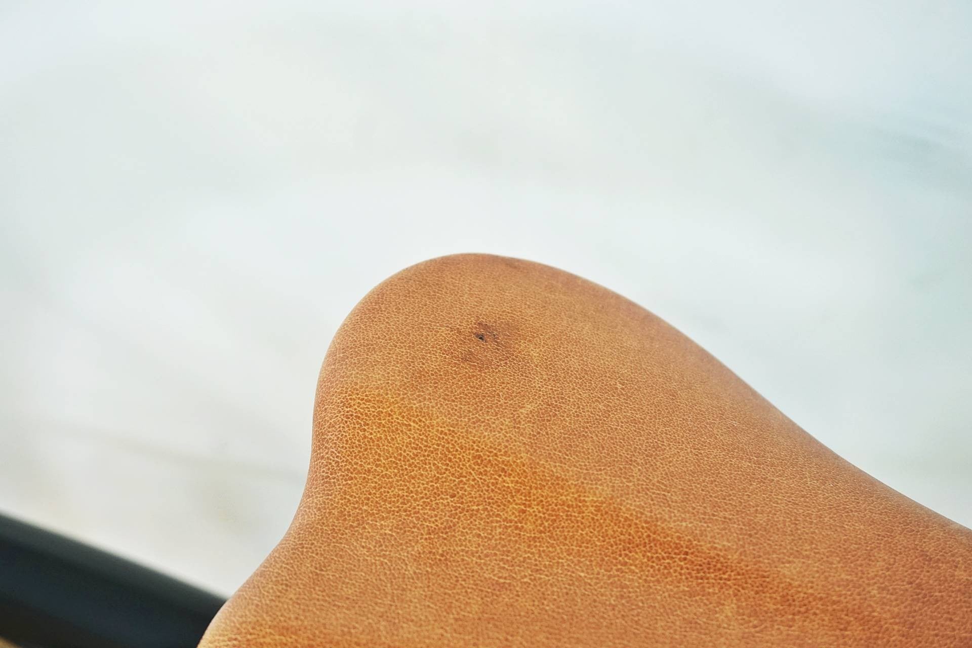 KHODAABLOOM 「コーダーブルーム」 ASSON J24 2023年頃 24インチ キッズバイク / 有明ガーデン店