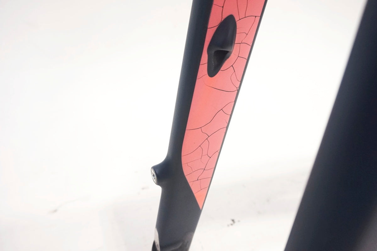 SPECIALIZED 「スペシャライズド」 WOMEN'S SIRRUS SPORT 2019年モデル フレームセット / 大阪門真店