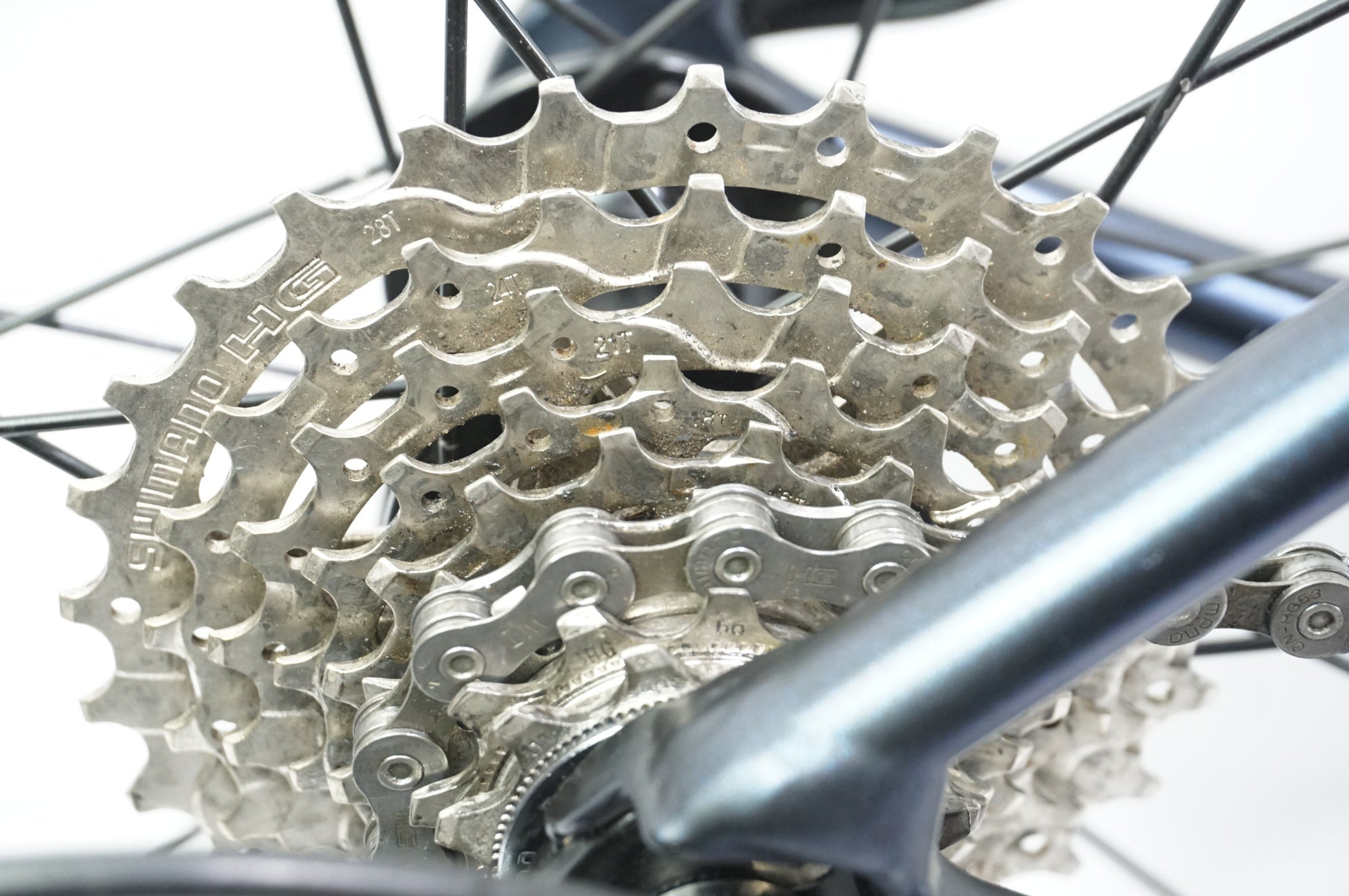 COLNAGO 「コルナゴ」 VORREI SORA 2019年モデル クロスバイク / 中目黒店