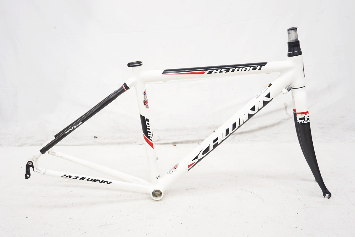 SCHWINN 「シュウイン」 FASTBACK COMP 2006年頃モデル フレームセット / 大阪美原北インター店