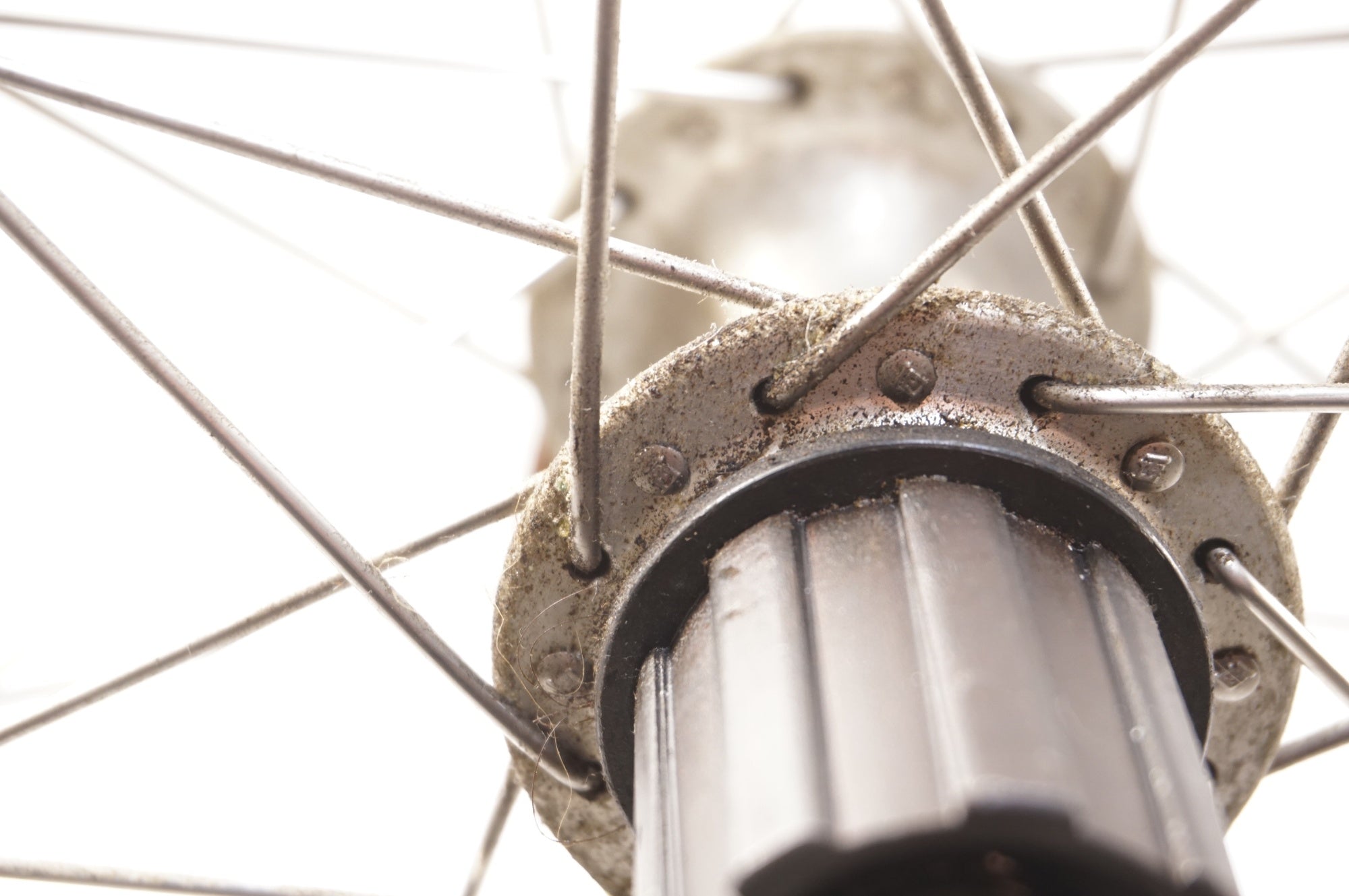 CAMPAGNOLO 「カンパニョーロ」 VELOCE / MAVIC 195 カンパフリー8速 ホイールセット / 中目黒店