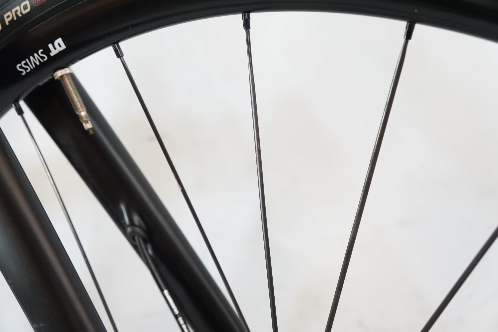 CANYON 「キャニオン」 ENDURACE CF SL DISC 8.0 AERO DI2 2019年モデル ロードバイク / バイチャリ浦和ベース