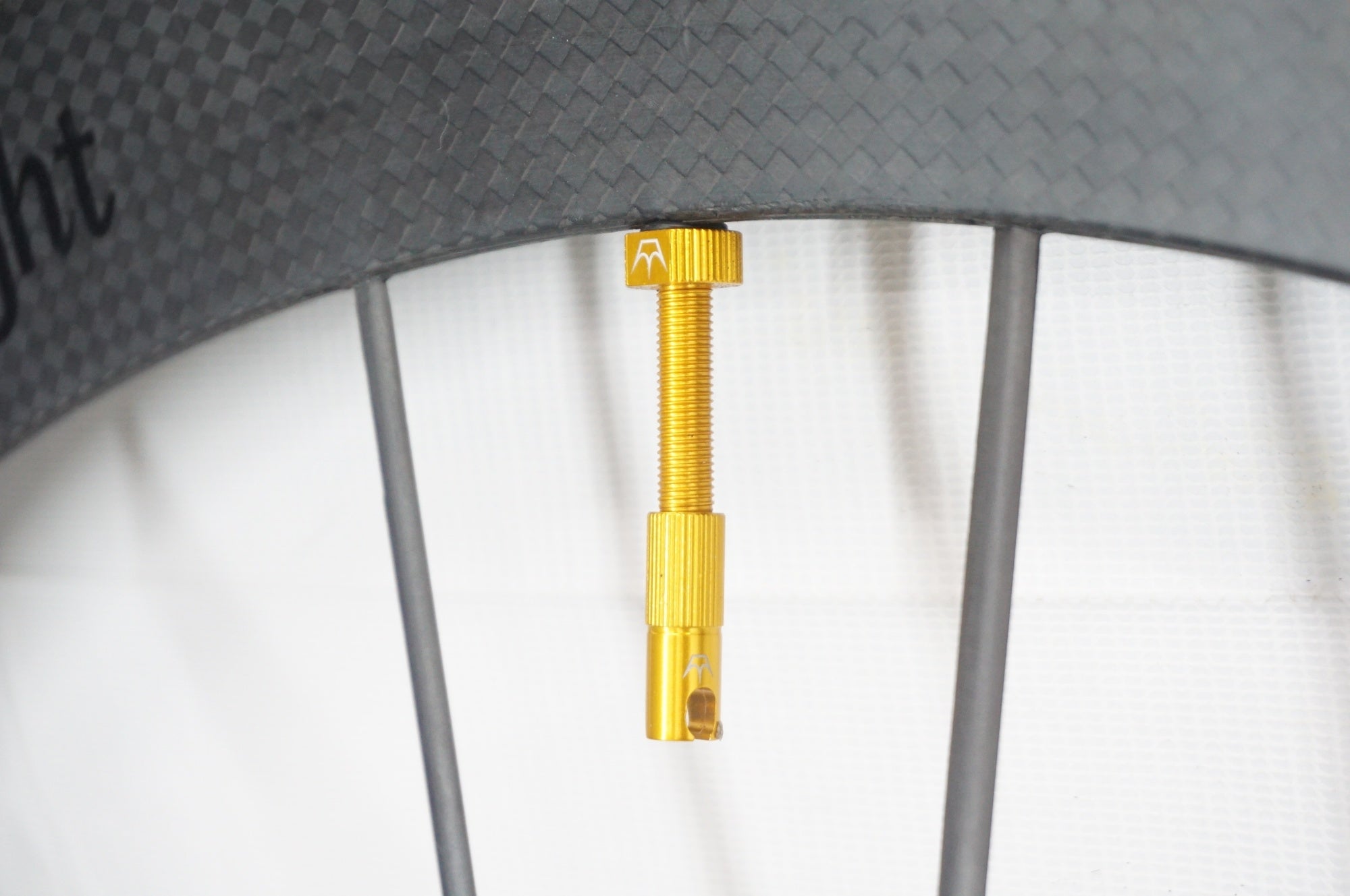 LIGHTWEIGHT 「ライトウェイト」 OBERMAYER EVO DISC Schaez Edition シマノ11-12速 ホイールセット / 阪急塚口店