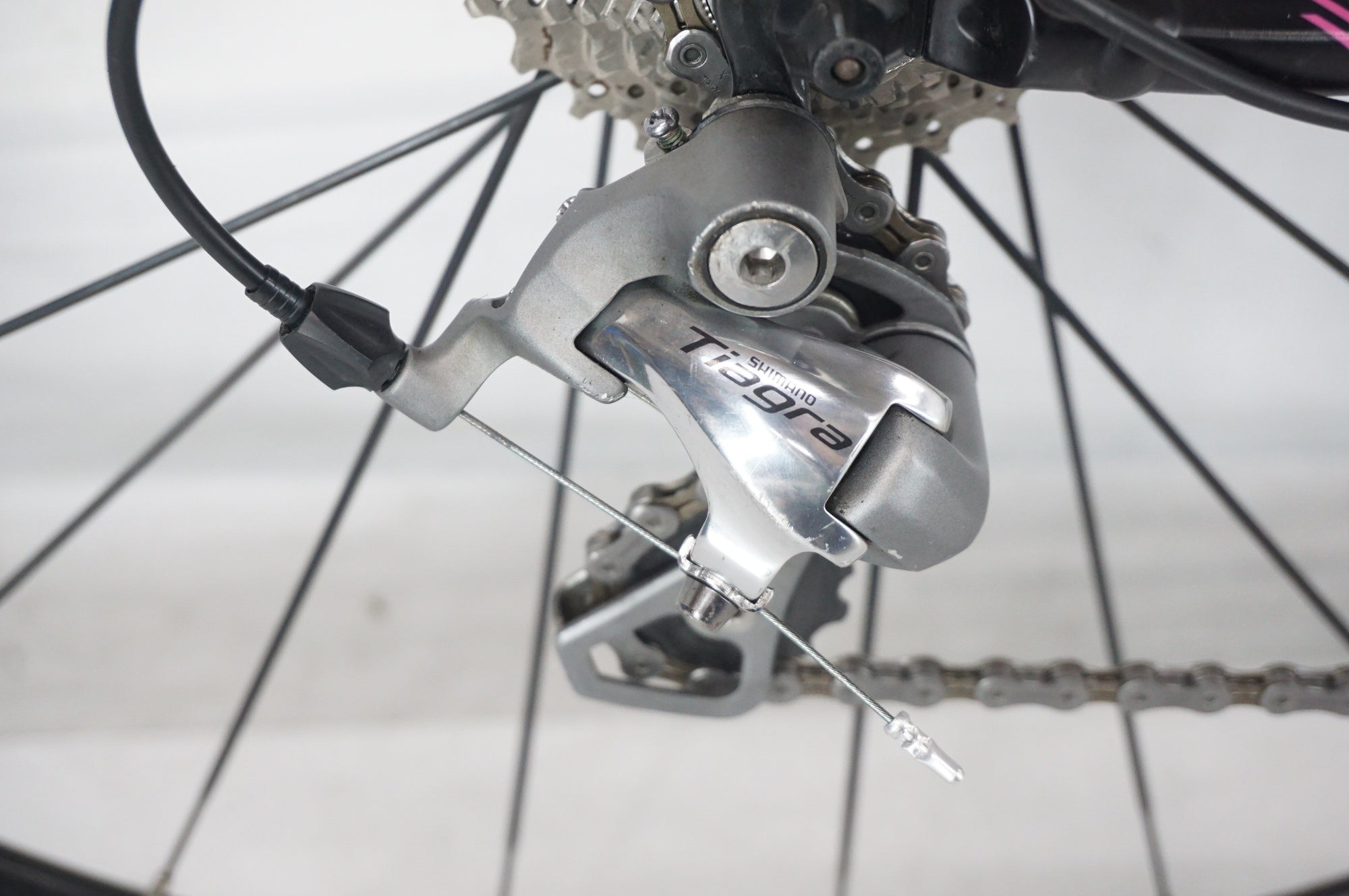 TREK 「トレック」 LEXA SL 2014年モデル ロードバイク / 阪急塚口店
