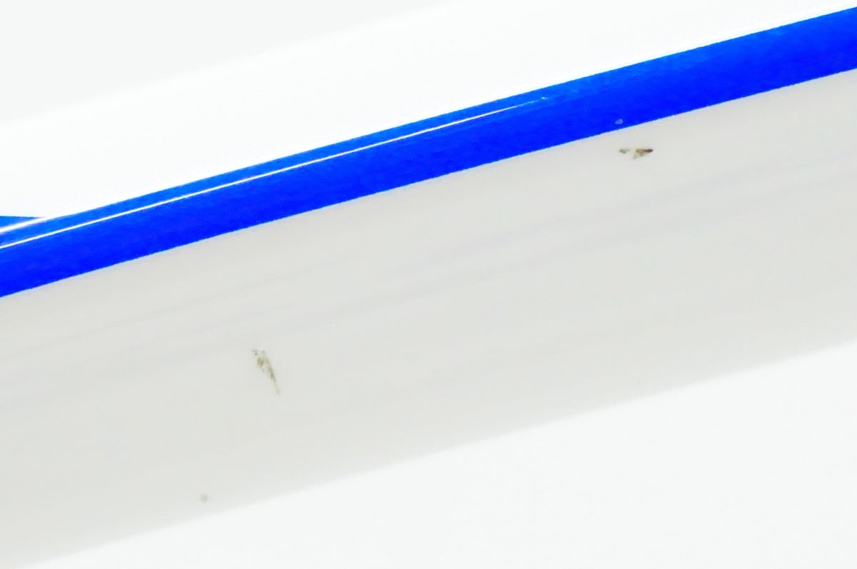 CINELLI 「チネリ」 SAETTA RADICAL 2014年モデル ロードバイク / 名古屋大須店